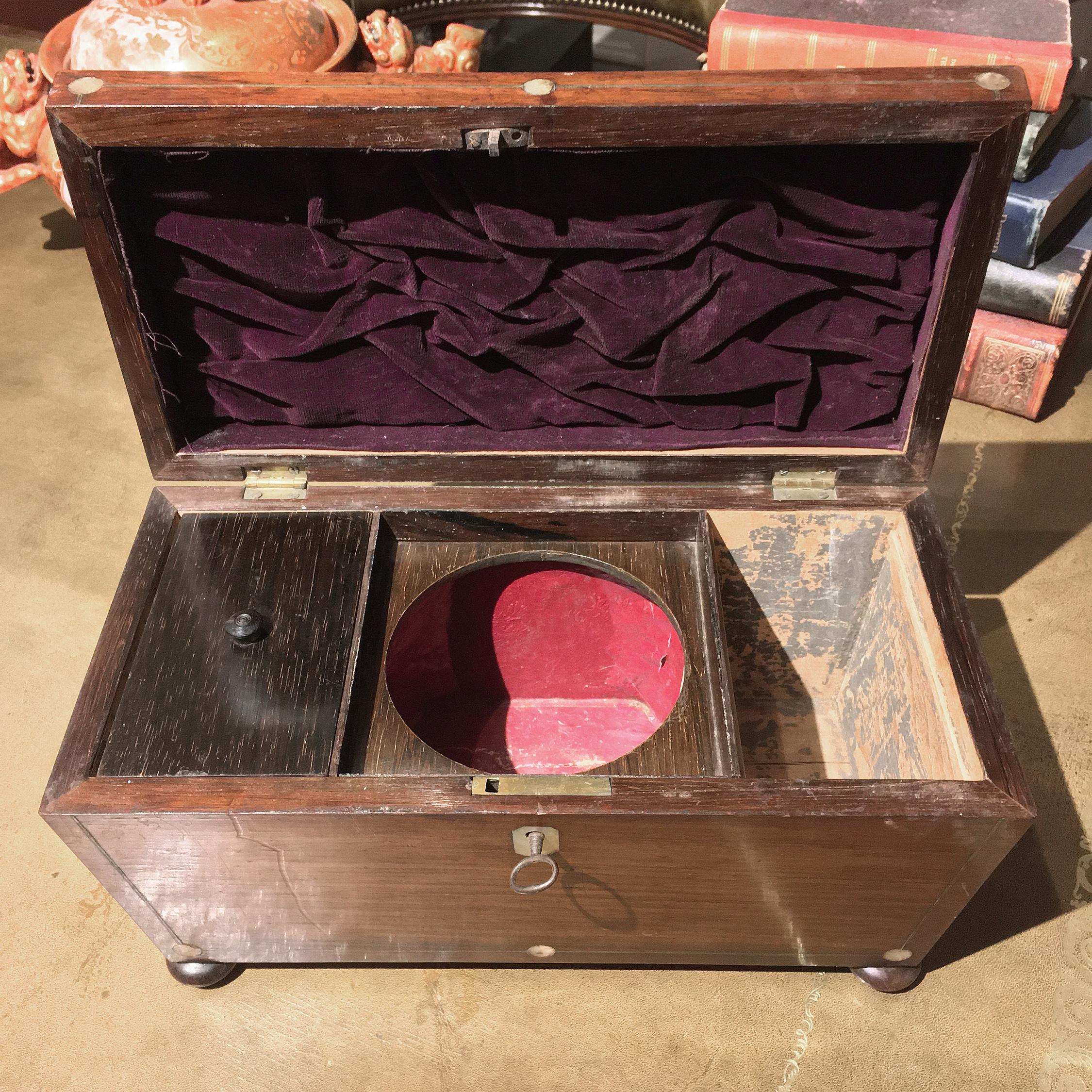 Early 19th Century Regency Mother of Pearl Inlaid Tea Caddy of Sarcophagus Form In Excellent Condition For Sale In New York, NY