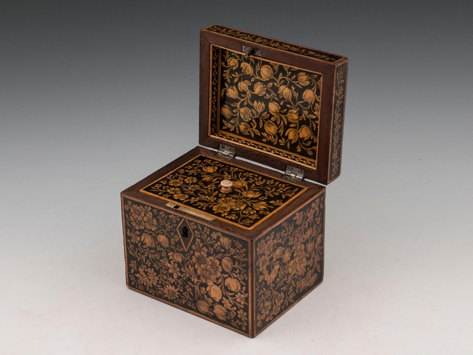 Early 19th Century Regency Period Single Penwork Tea Caddy 3