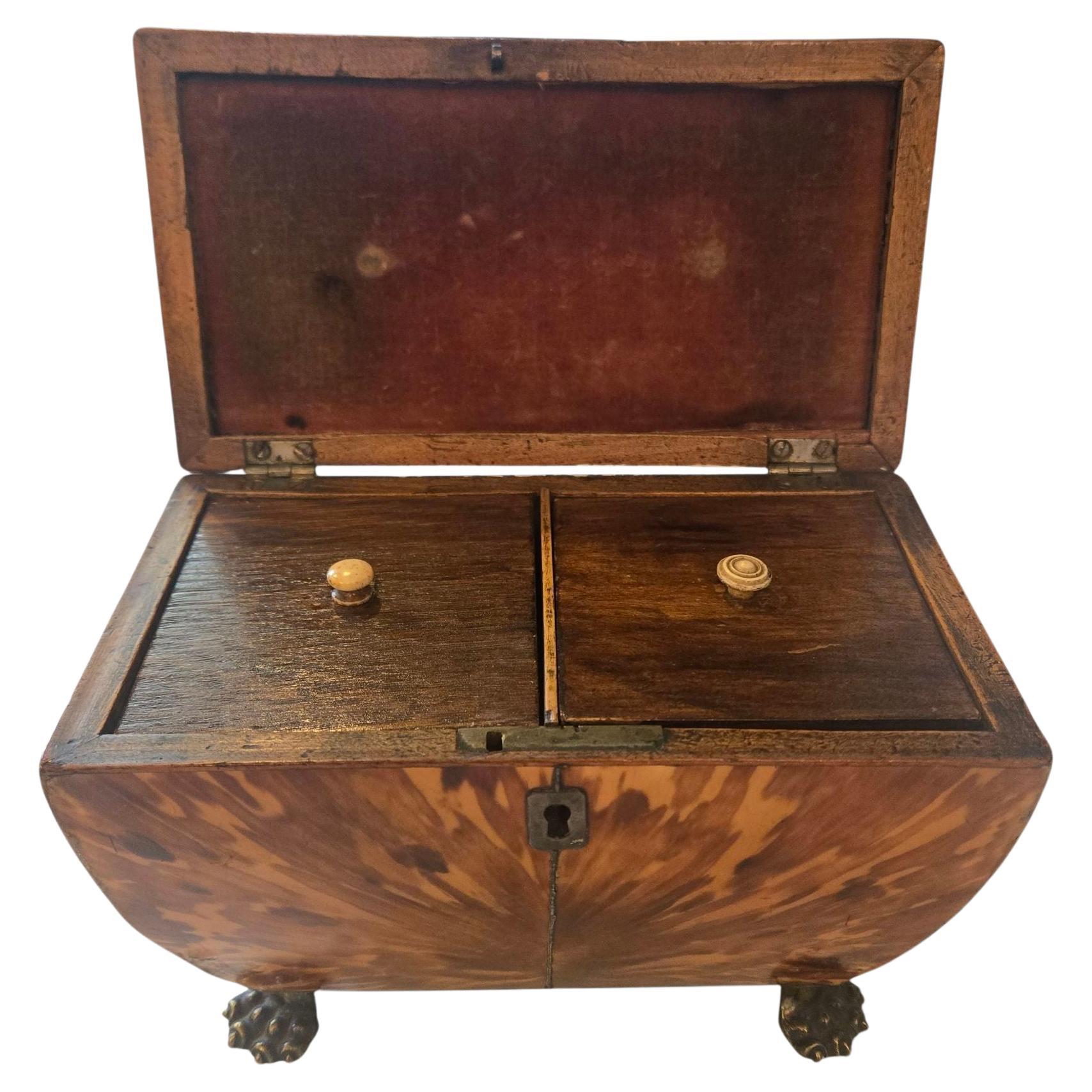 British Early 19th Century Regency Tortoiseshell Tea Caddy on Paw Feet For Sale