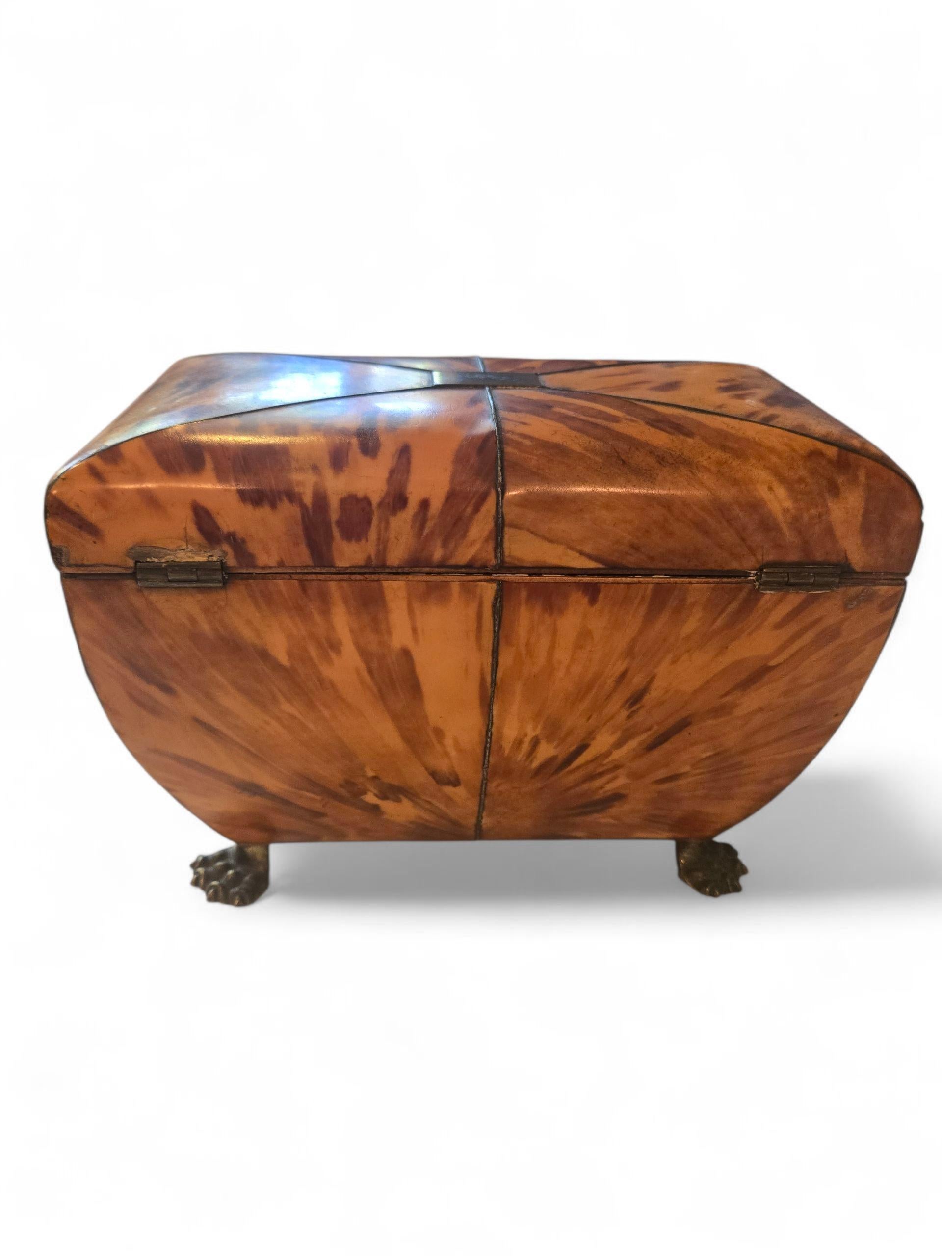 Early 19th Century Regency Tortoiseshell Tea Caddy on Paw Feet In Good Condition For Sale In Summerland, CA