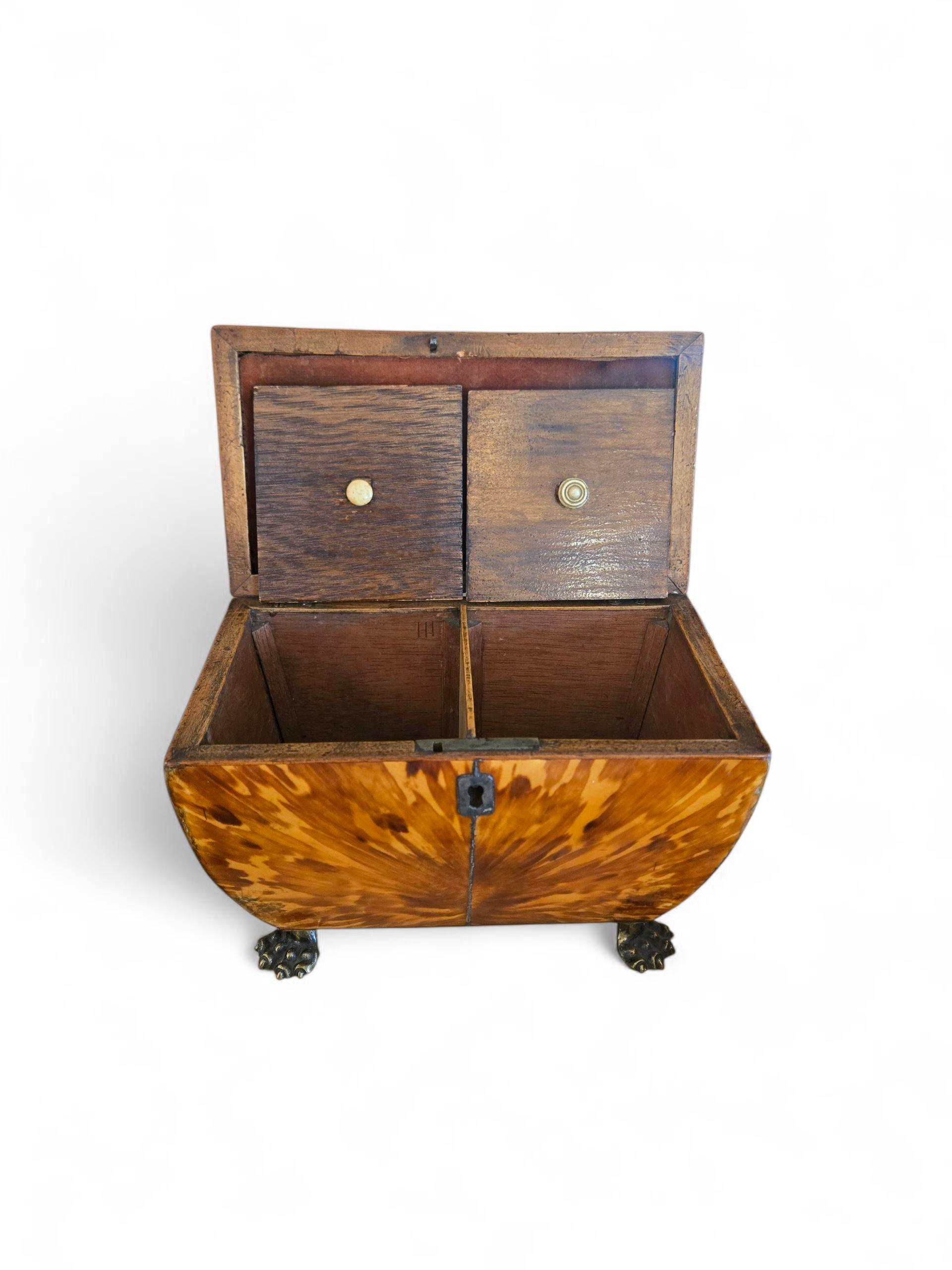 Early 19th Century Regency Tortoiseshell Tea Caddy on Paw Feet For Sale 2