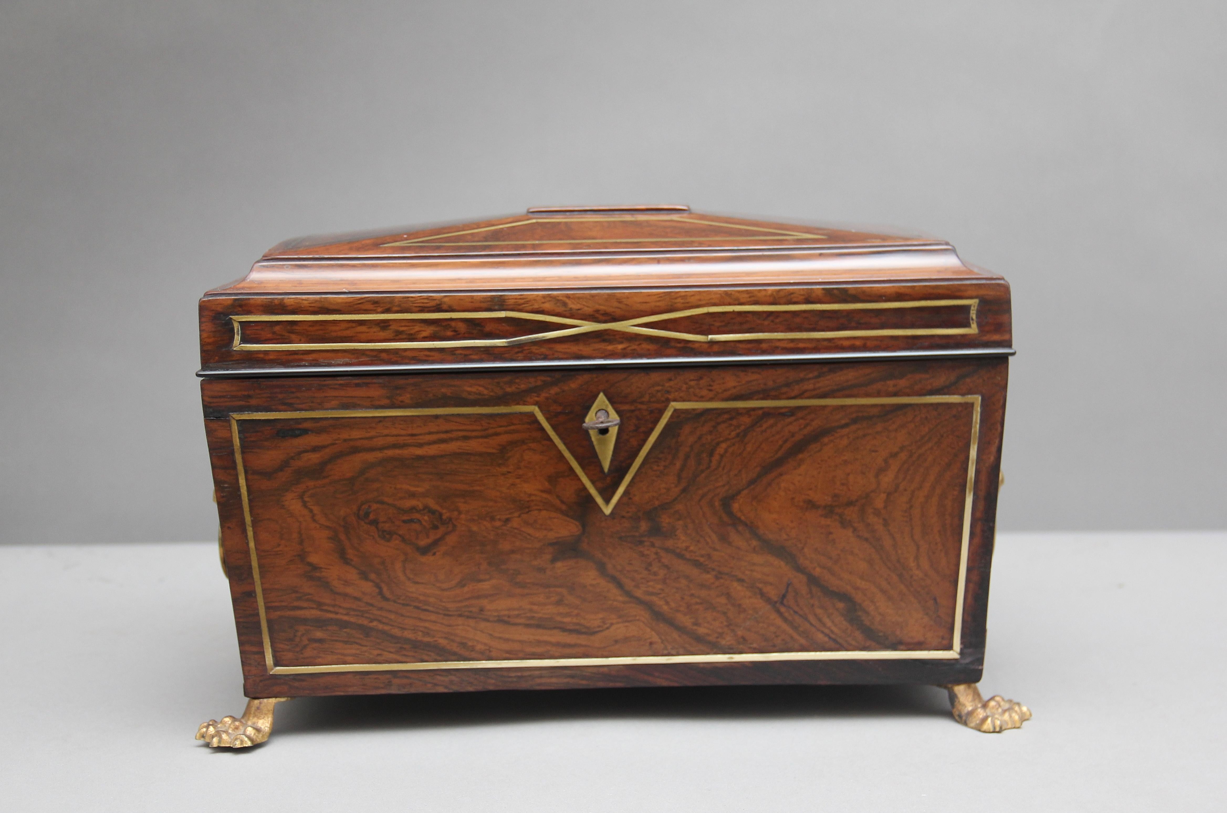 Early 19th Century Rosewood Tea Caddy 1