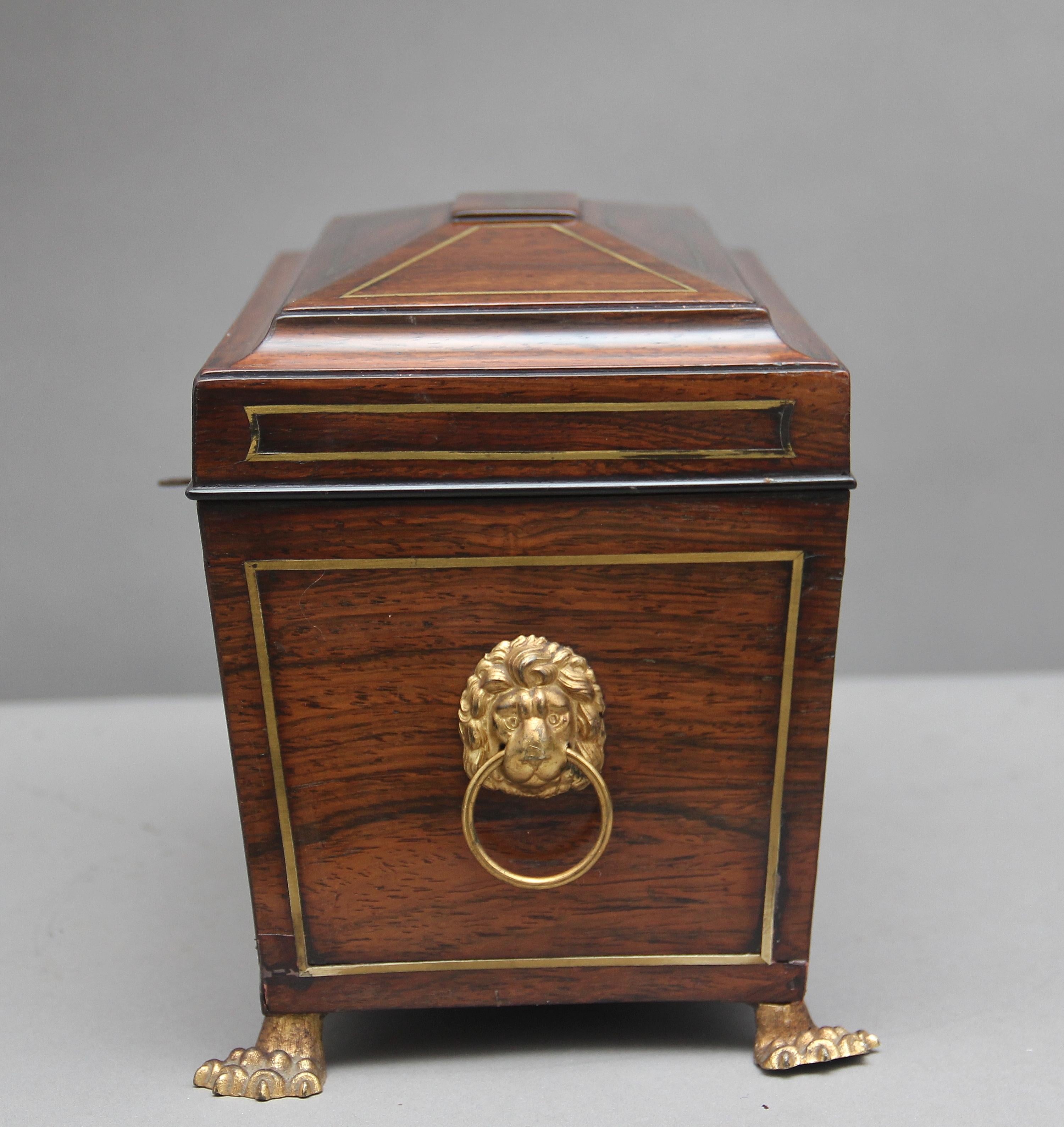 Early 19th Century Rosewood Tea Caddy 2