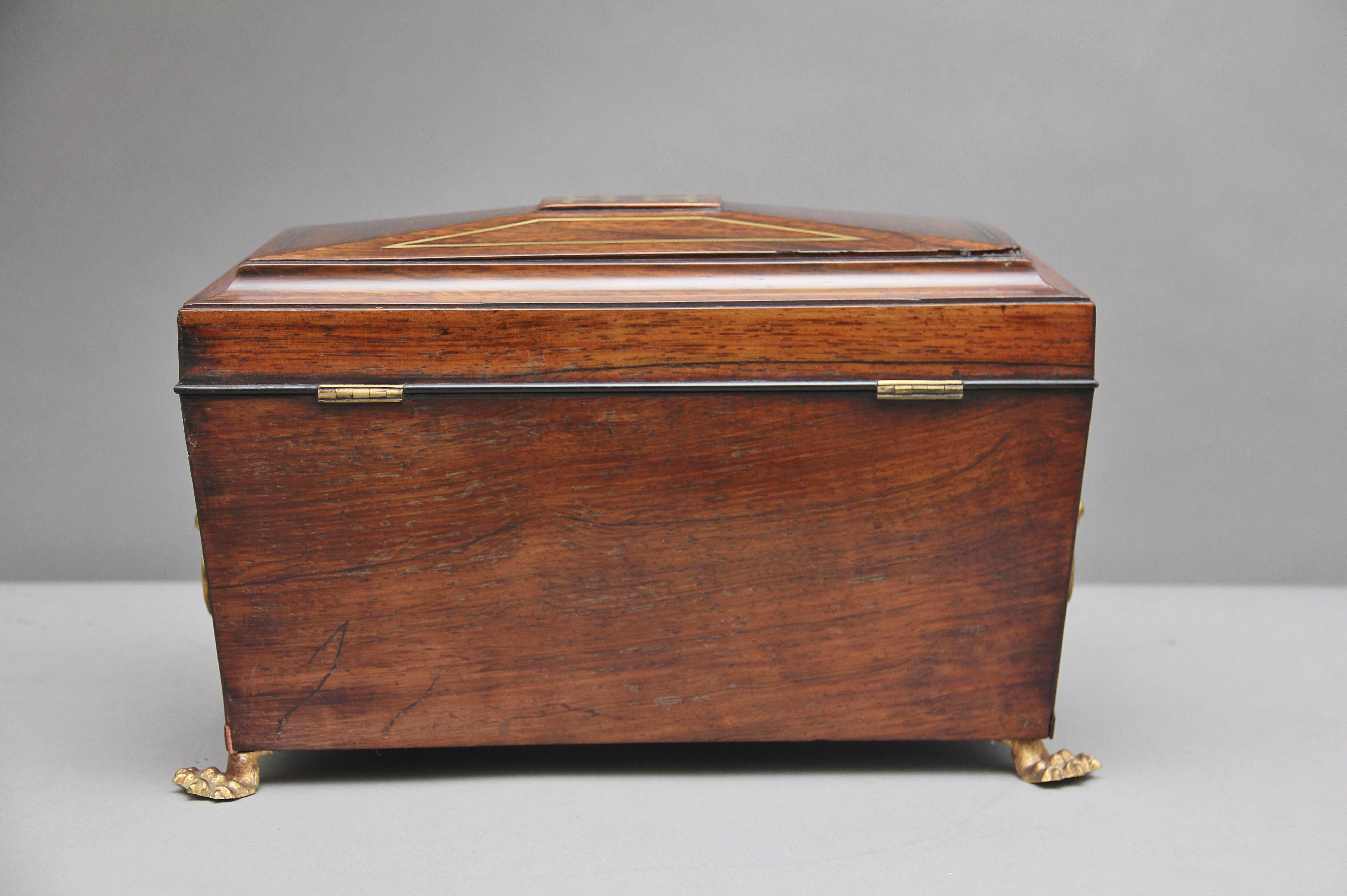 Early 19th Century Rosewood Tea Caddy 3