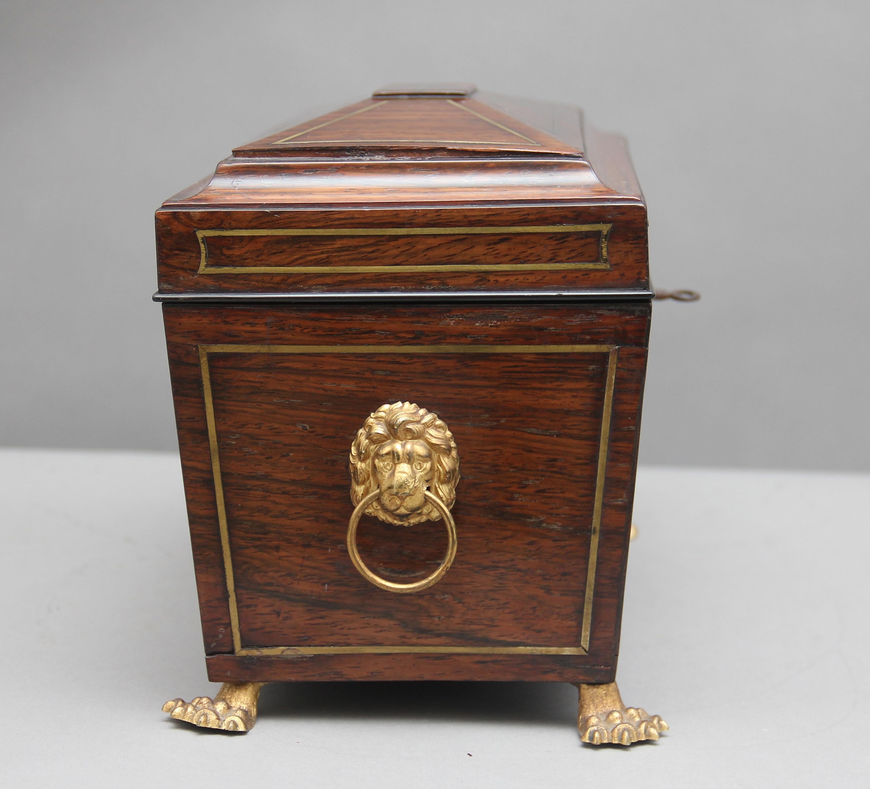 Early 19th Century Rosewood Tea Caddy 4