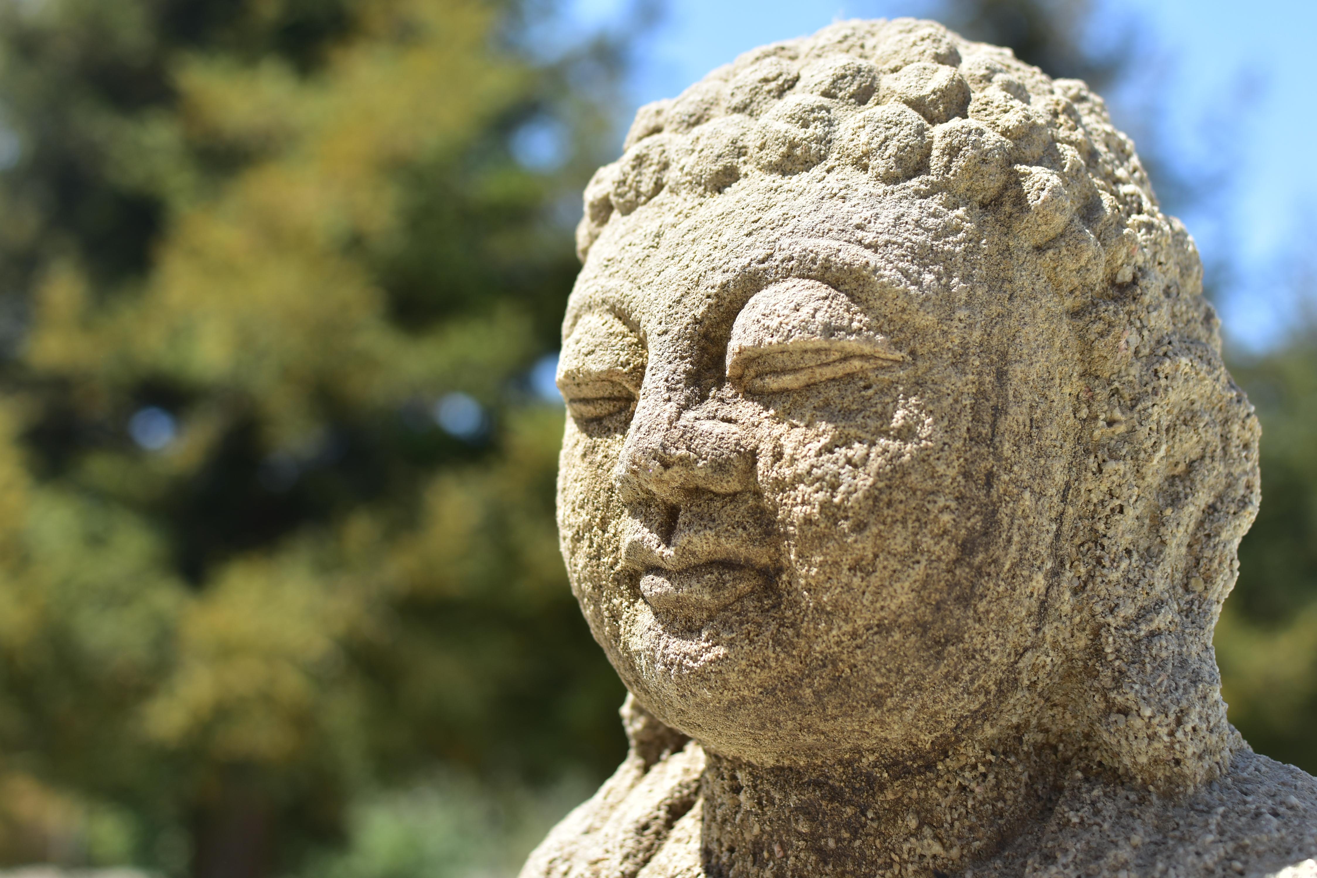 Early 19th Century Sandstone Buddha 8