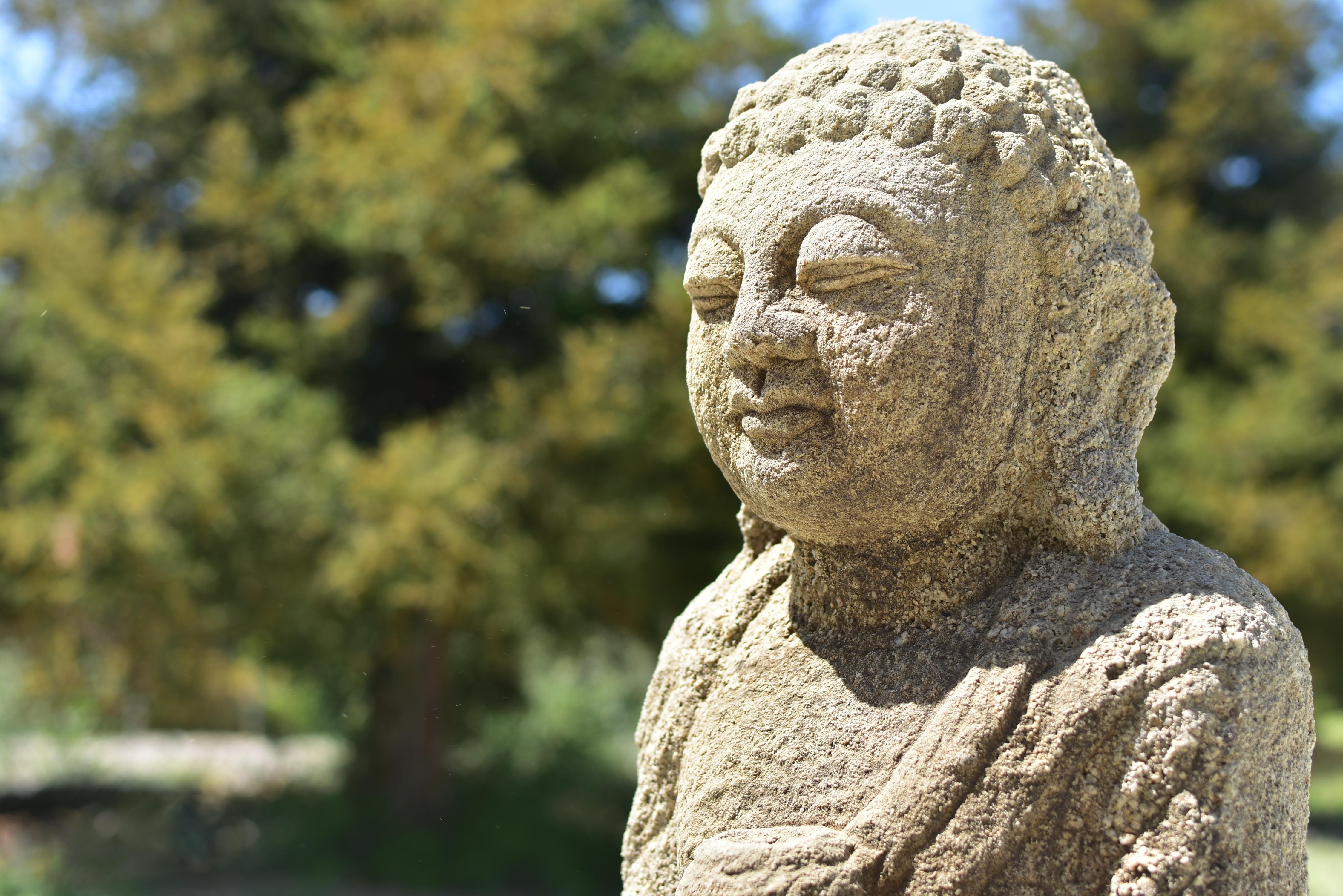 A beautiful 19th century sandstone Buddha statue. The broad face with large downcast eyes flanked by pendulous ears under tightly curled hair, with serene expression. The right hand in varada mudra expressing charity and wish granting. In the left