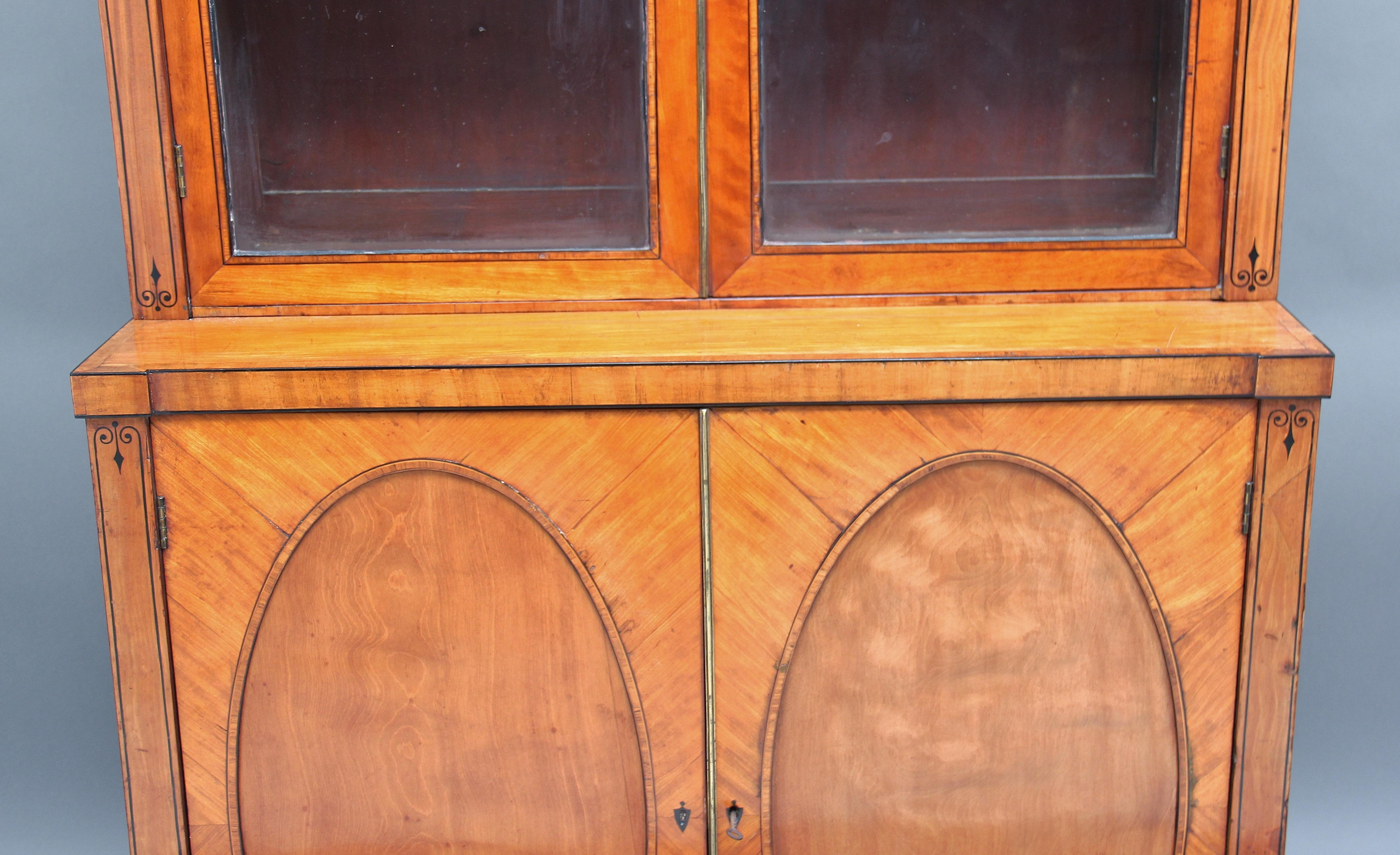 Early 19th Century Satinwood Bookcase 7