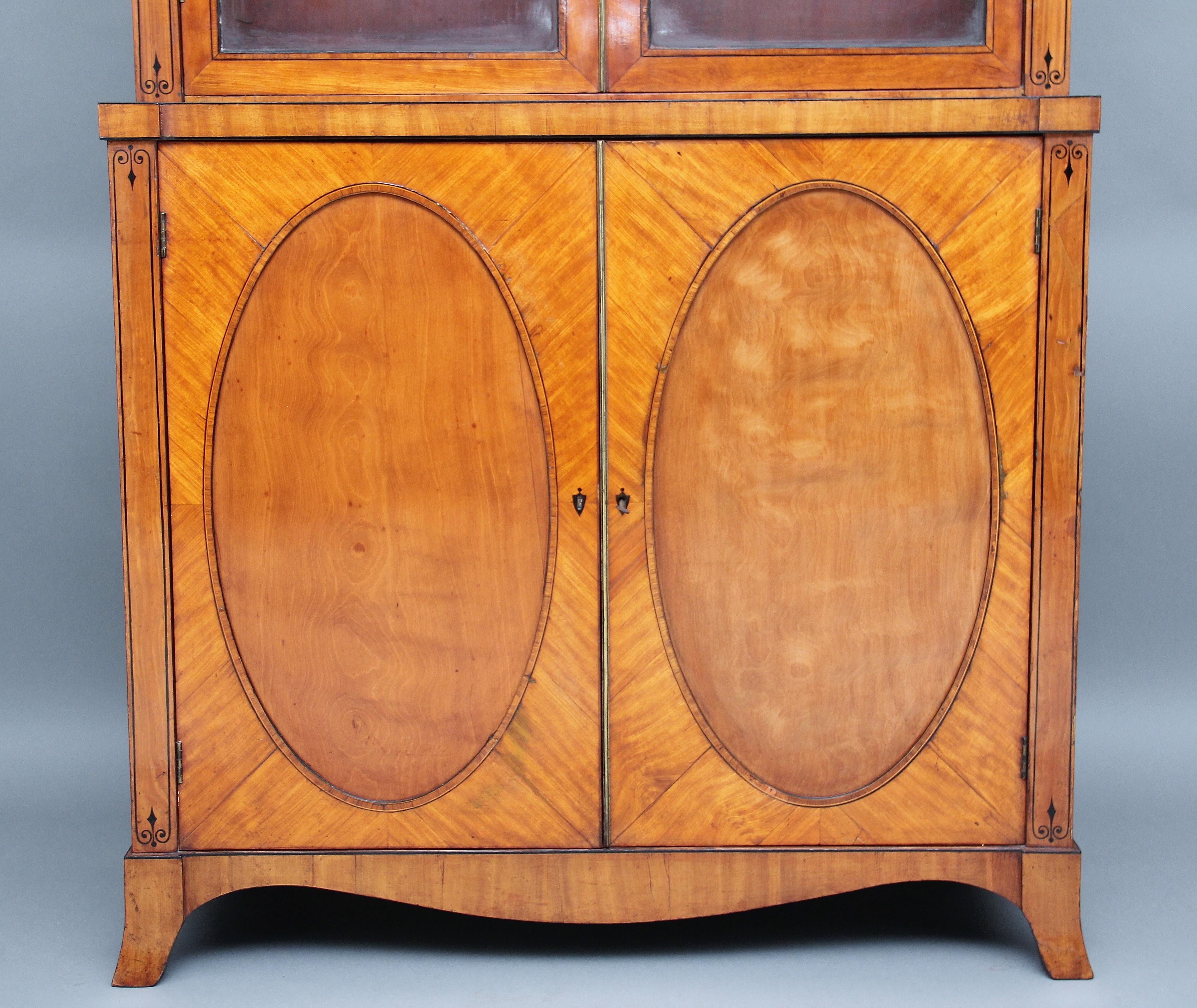 English Early 19th Century Satinwood Bookcase