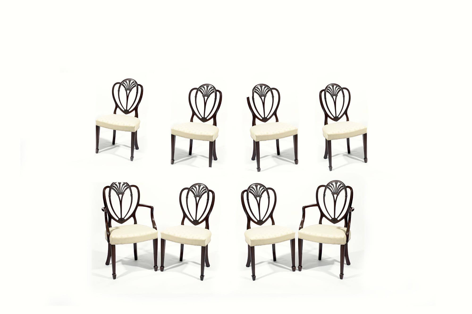 Ensemble de huit (six plus deux) chaises de salle à manger en acajou Hepplewhite du début du 19e siècle.  Les dossiers en forme de bouclier, sculptés de plumes de Prince de Galles, sont soutenus par des sièges rembourrés et reposent sur des pieds