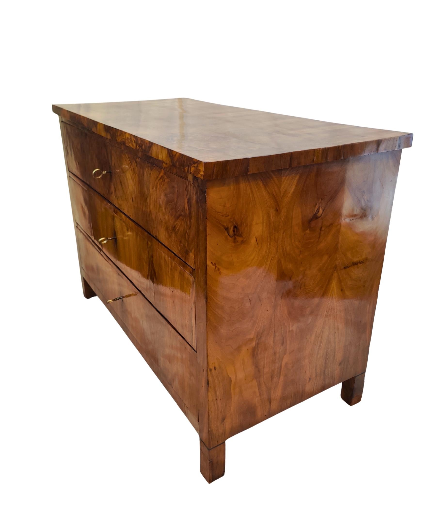 Early 19th Century South German Biedermeier Chest of Drawers in Walnut For Sale 2