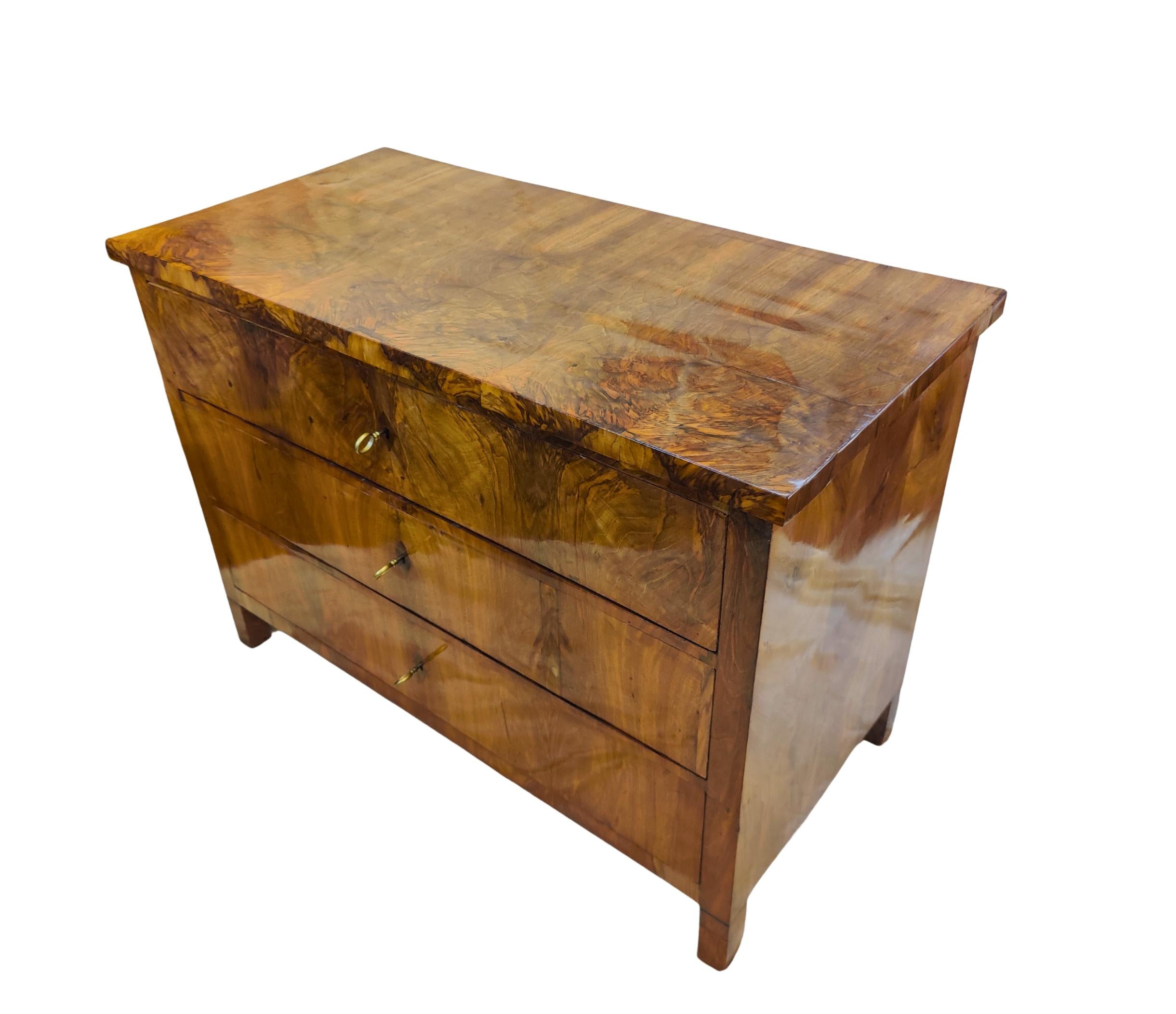 Early 19th Century South German Biedermeier Chest of Drawers in Walnut For Sale 3
