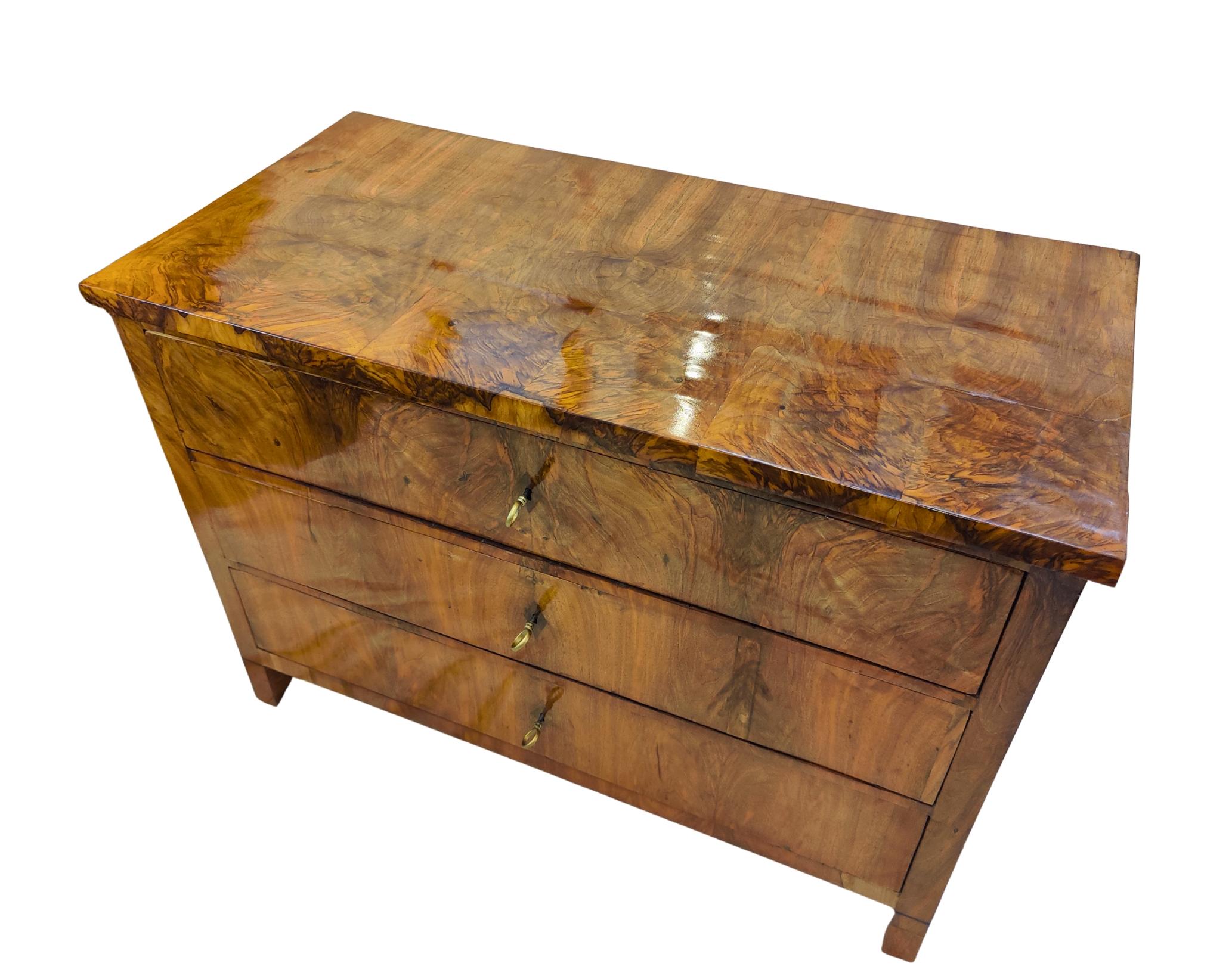 Early 19th Century South German Biedermeier Chest of Drawers in Walnut For Sale 4
