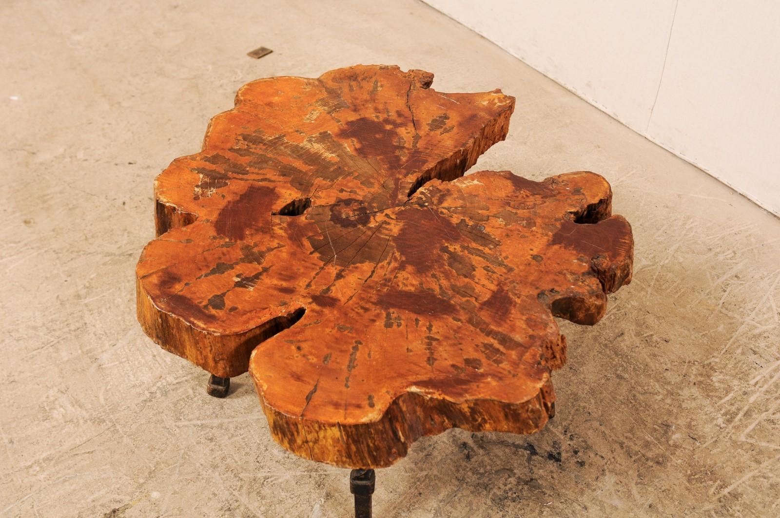 Early 19th Century Spanish Wood Slab Coffee Table with Hand Forged Iron Base 2