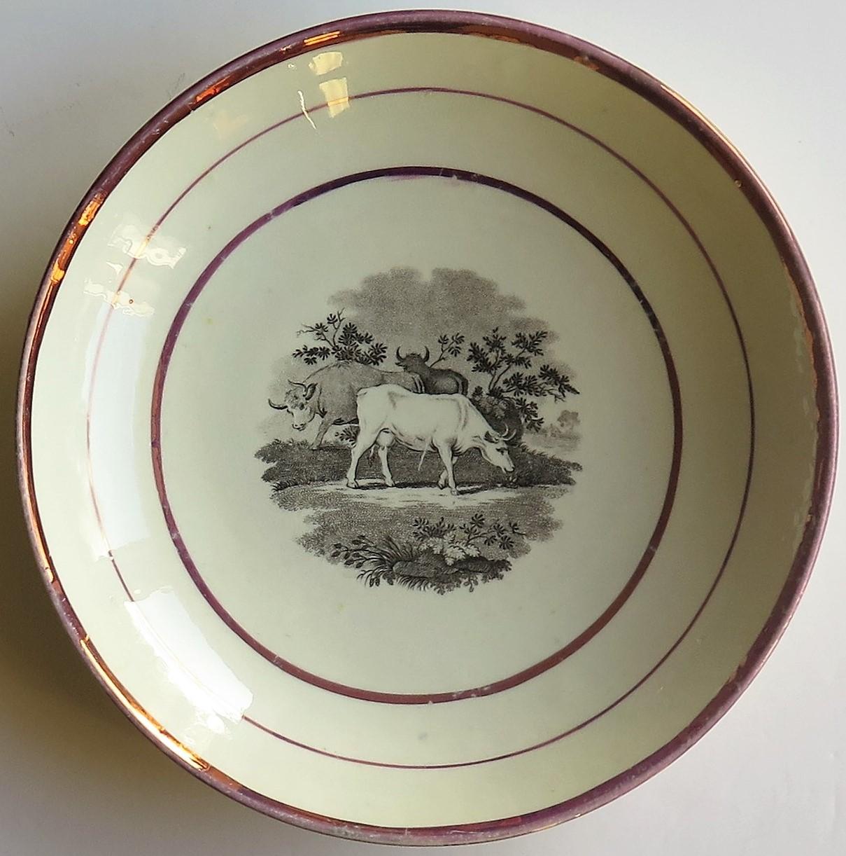Georgianische Sunderland-Porzellanschale oder Teller mit Lüster, englisch, frühes 19. Jahrhundert im Angebot 5