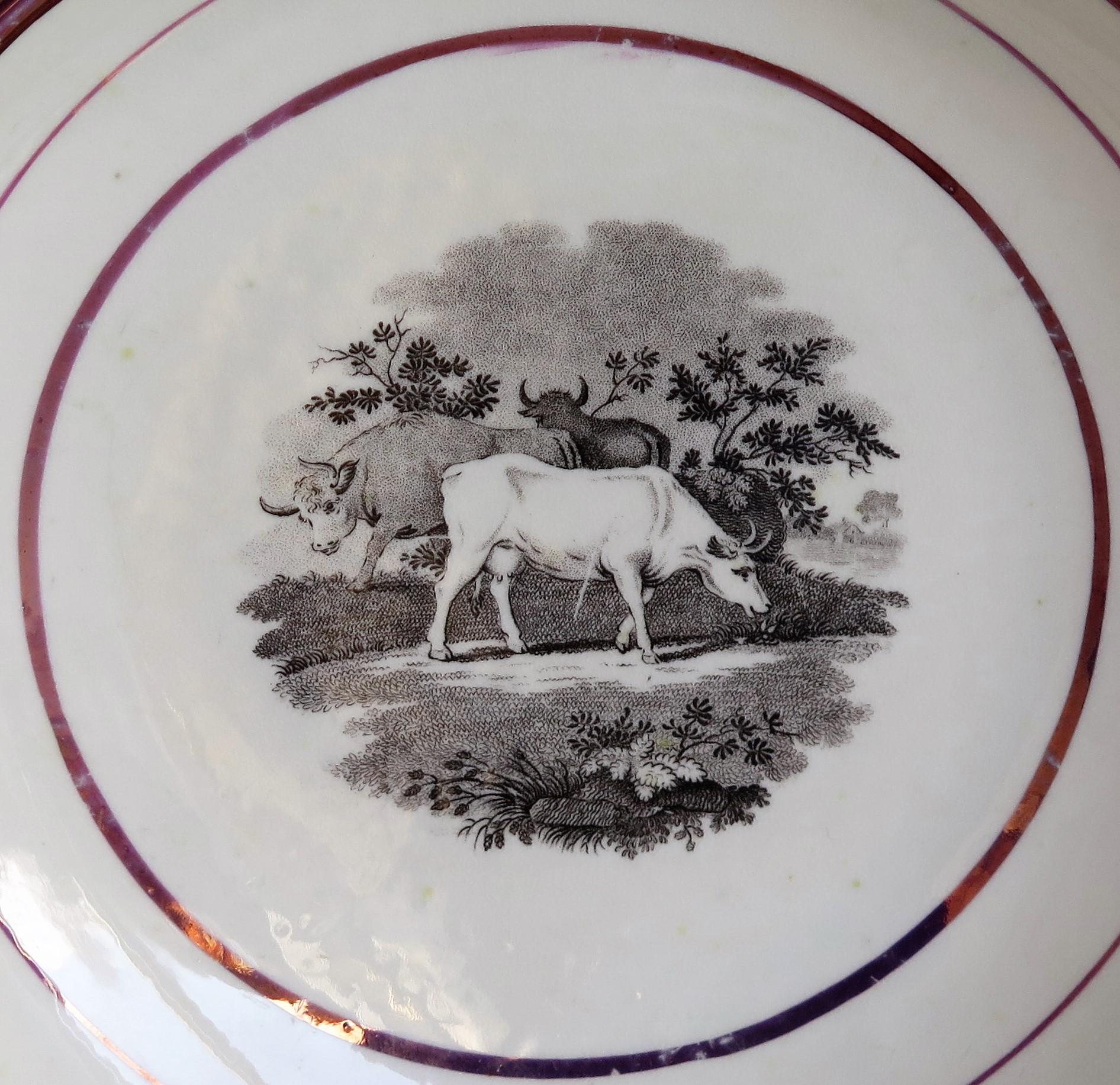 Georgianische Sunderland-Porzellanschale oder Teller mit Lüster, englisch, frühes 19. Jahrhundert im Angebot 6