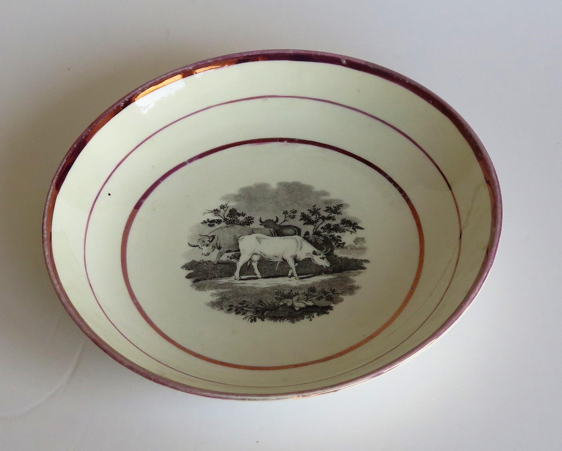 Plat ou assiette en porcelaine lustrée géorgienne Sunderland, Angleterre, début du 19ème siècle en vente 5