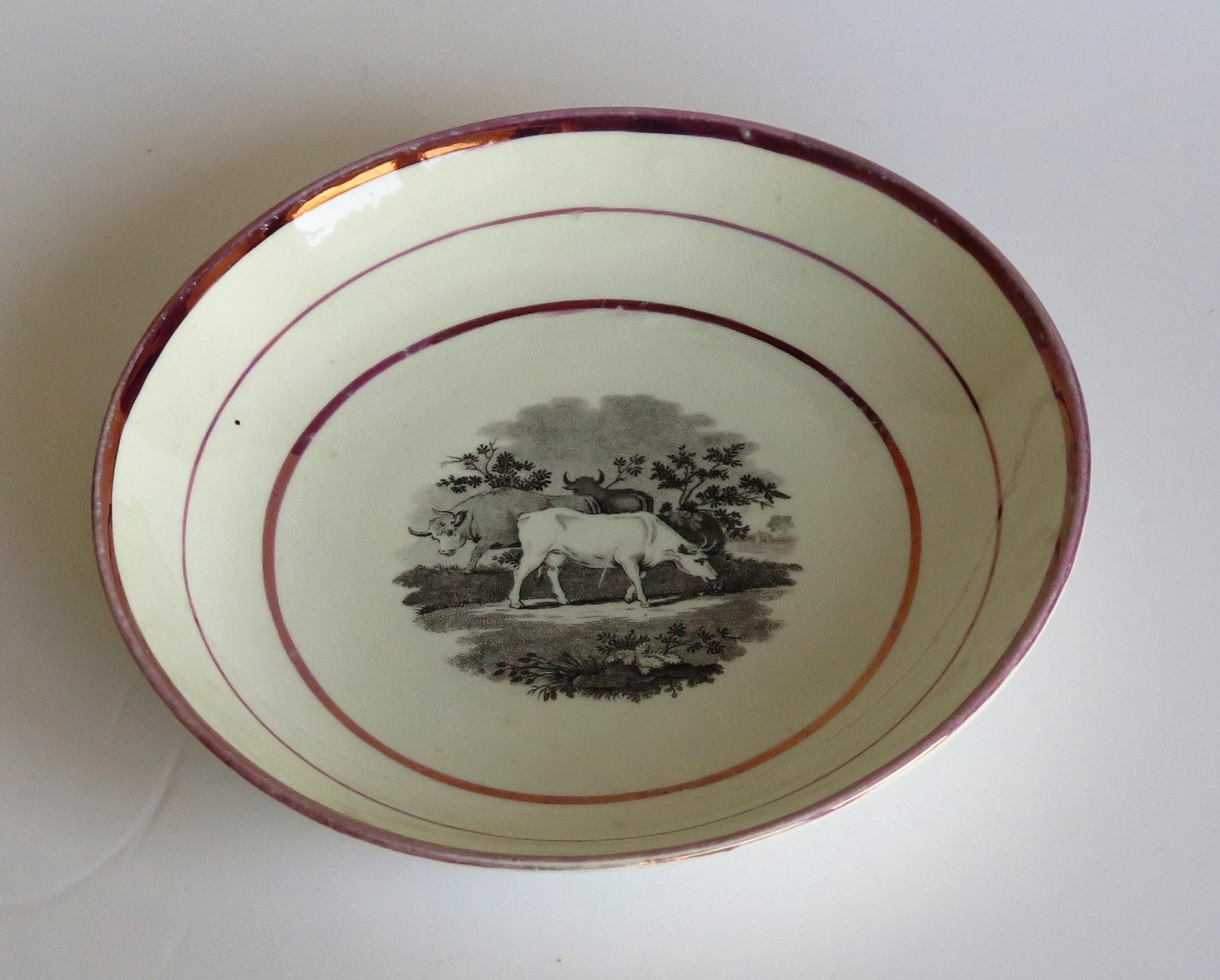 Georgian Sunderland Porcelain Lustre Dish or Plate, English Early 19th Century For Sale 9