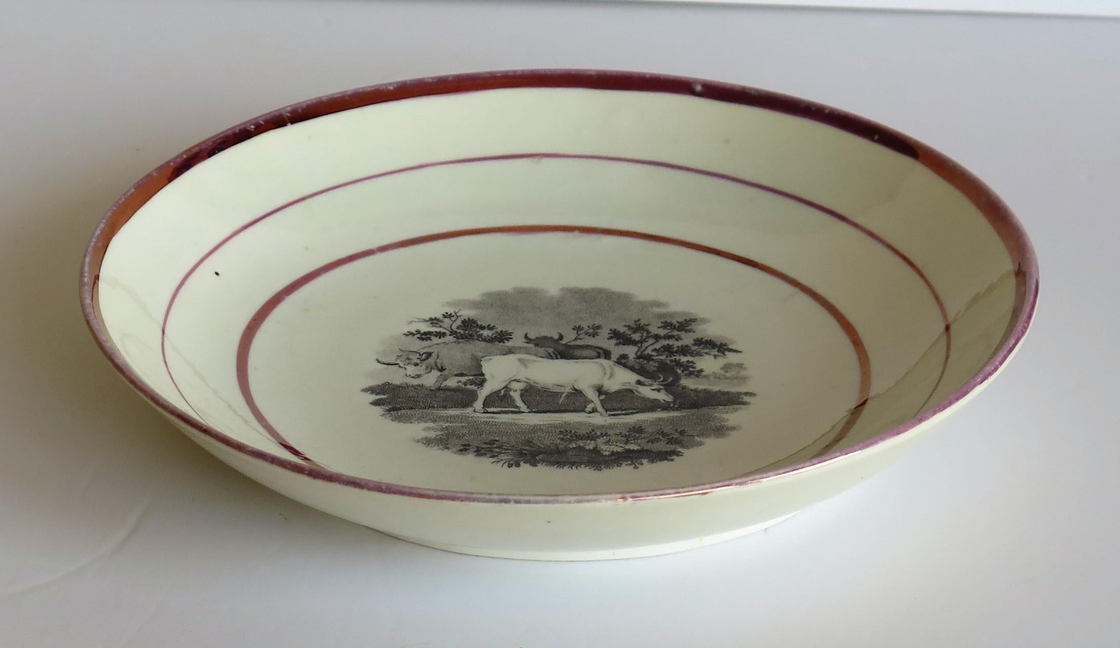 Georgian Sunderland Porcelain Lustre Dish or Plate, English Early 19th Century For Sale 10