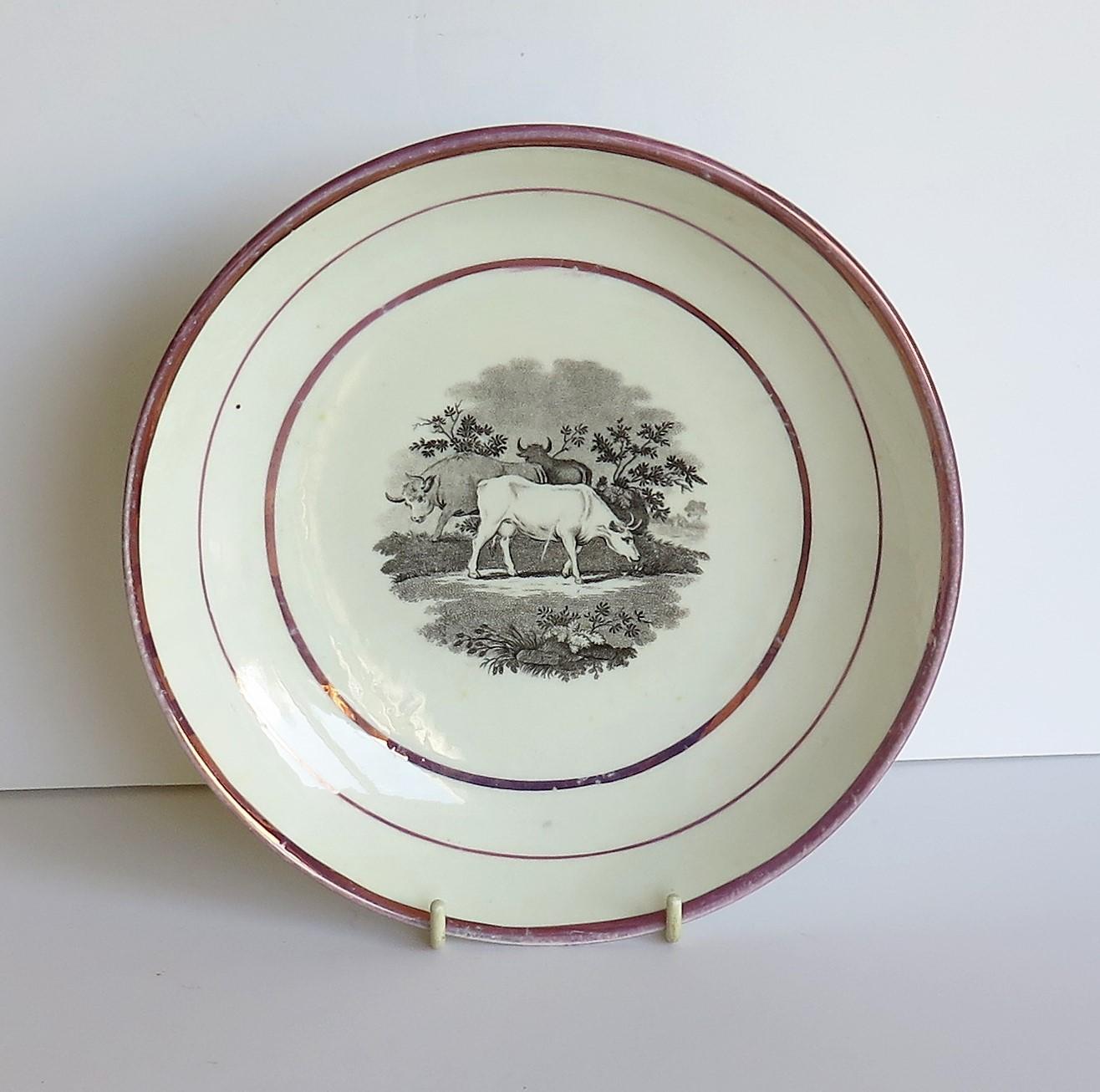 This is a good porcelain Sunderland pink lustre dish or deep plate from early in the 19th century, George III period, circa 1810-1820.

The dish is decorated with a bat printed scene of three grazing cattle or cows in a country setting by some