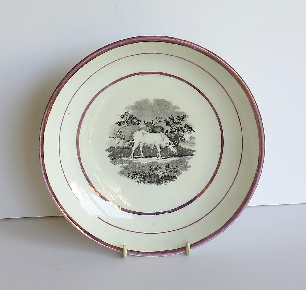 Glazed Georgian Sunderland Porcelain Lustre Dish or Plate, English Early 19th Century For Sale