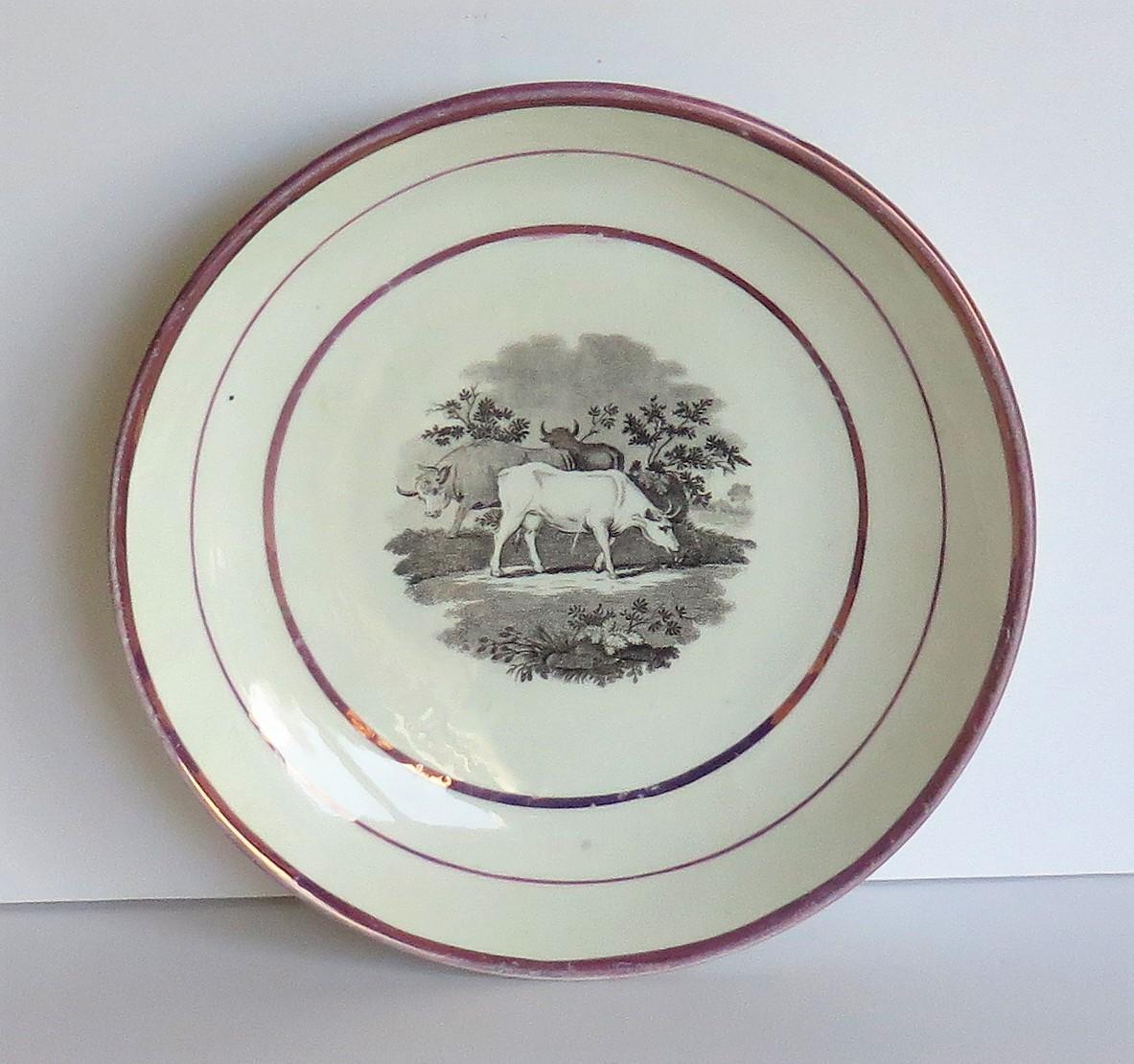 Georgianische Sunderland-Porzellanschale oder Teller mit Lüster, englisch, frühes 19. Jahrhundert (Glasiert) im Angebot