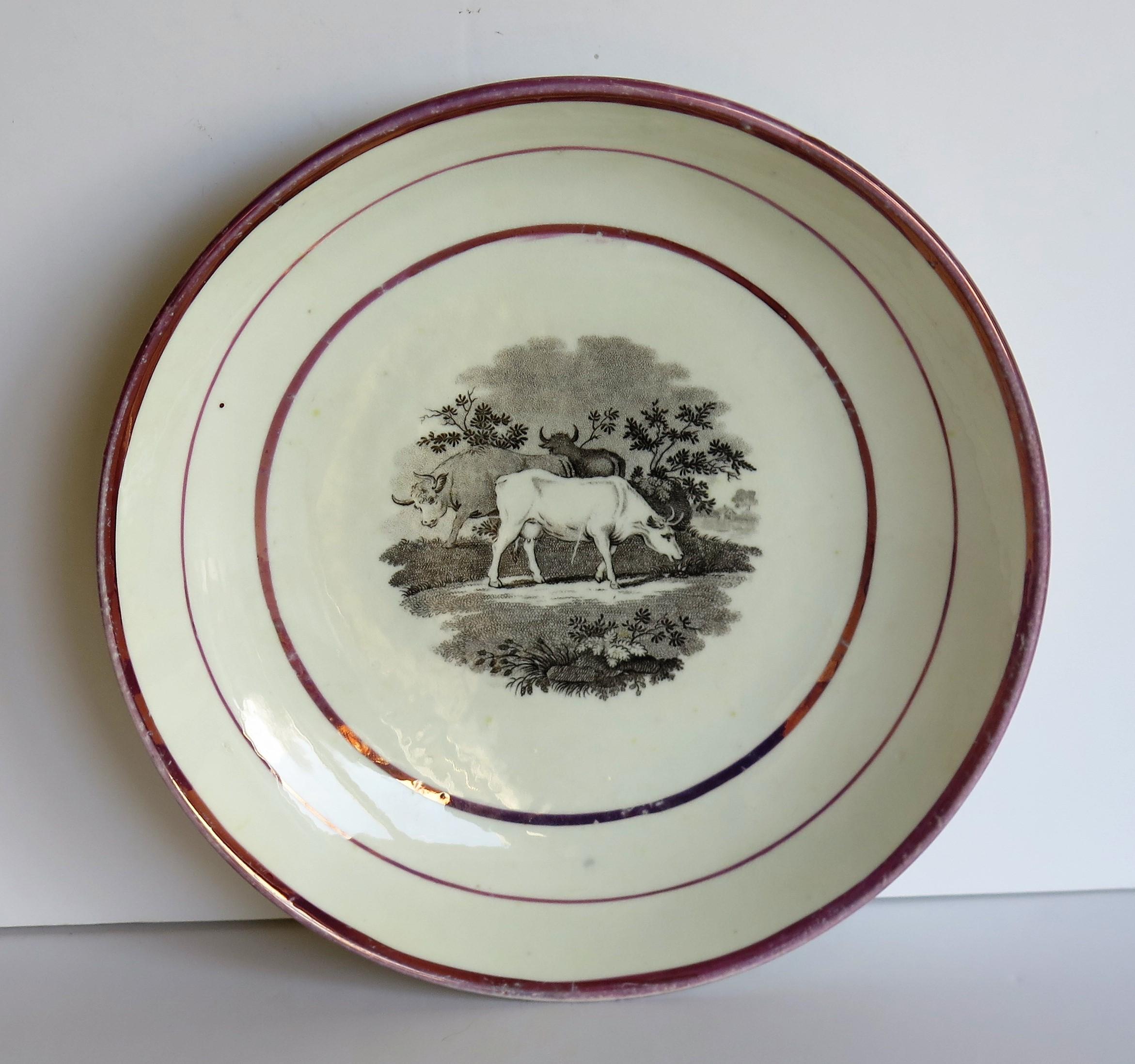 Vernissé Plat ou assiette en porcelaine lustrée géorgienne Sunderland, Angleterre, début du 19ème siècle en vente