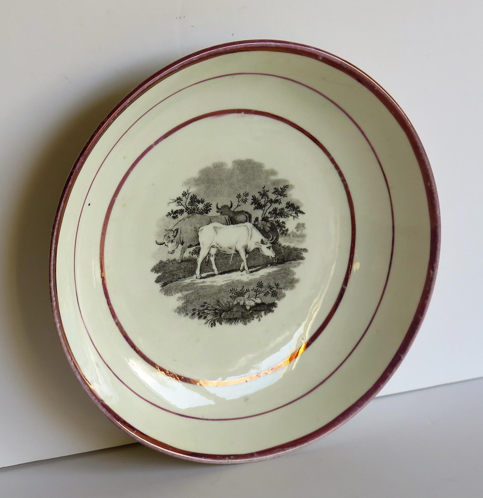 Georgianische Sunderland-Porzellanschale oder Teller mit Lüster, englisch, frühes 19. Jahrhundert im Angebot 1