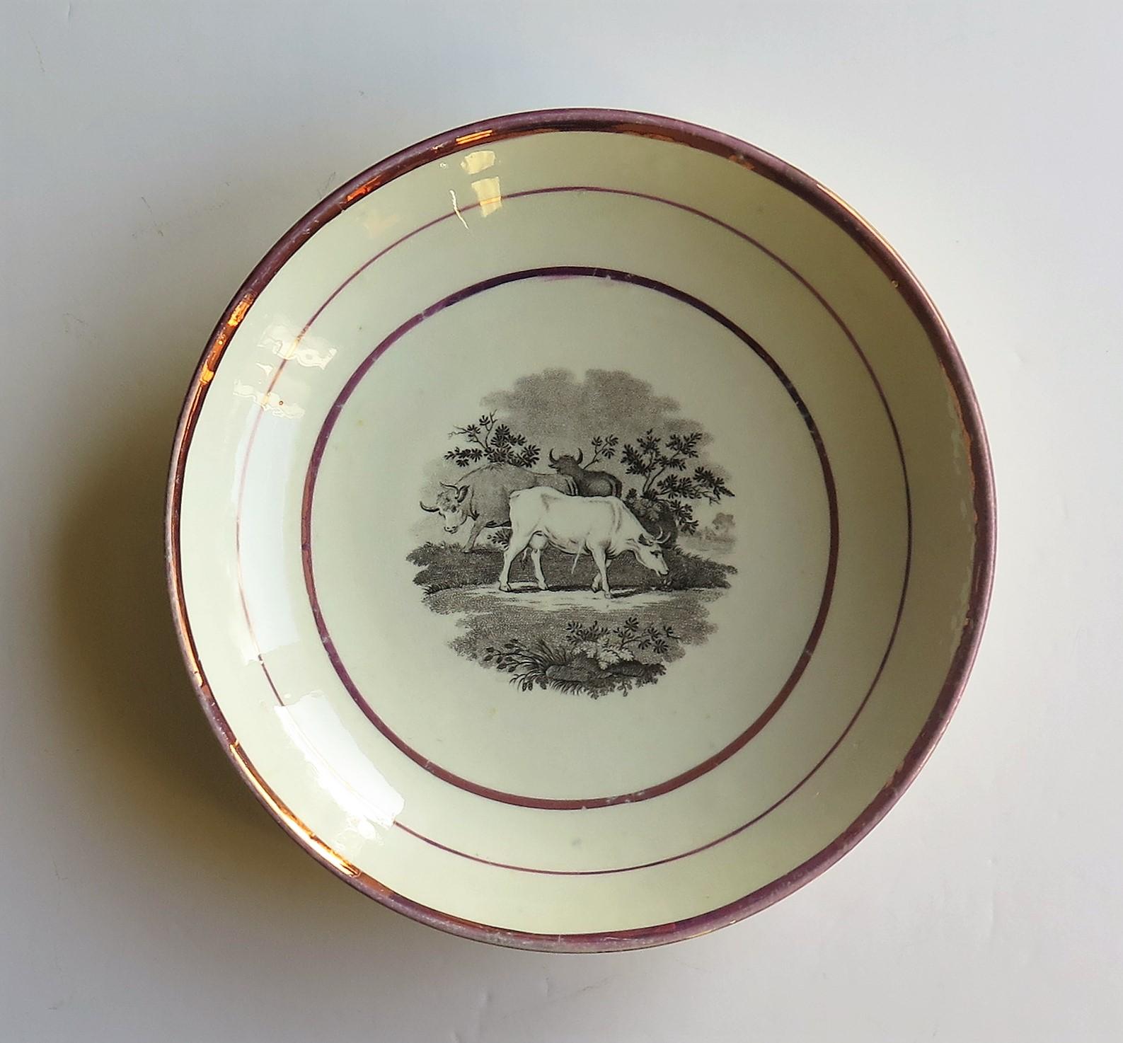 Georgianische Sunderland-Porzellanschale oder Teller mit Lüster, englisch, frühes 19. Jahrhundert im Angebot 2