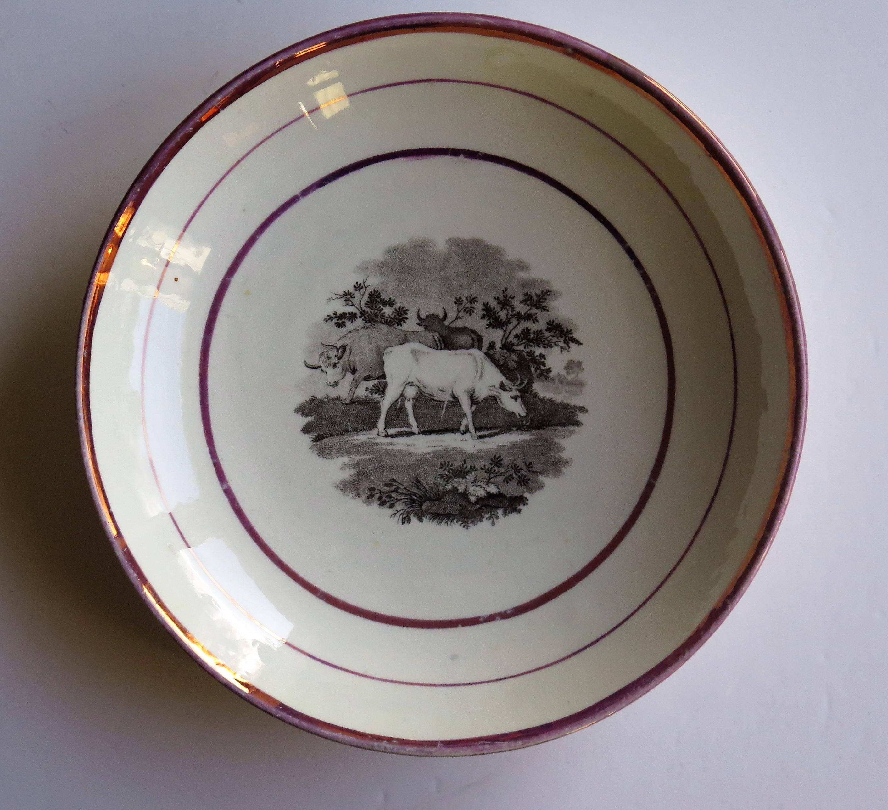 Georgianische Sunderland-Porzellanschale oder Teller mit Lüster, englisch, frühes 19. Jahrhundert im Angebot 3