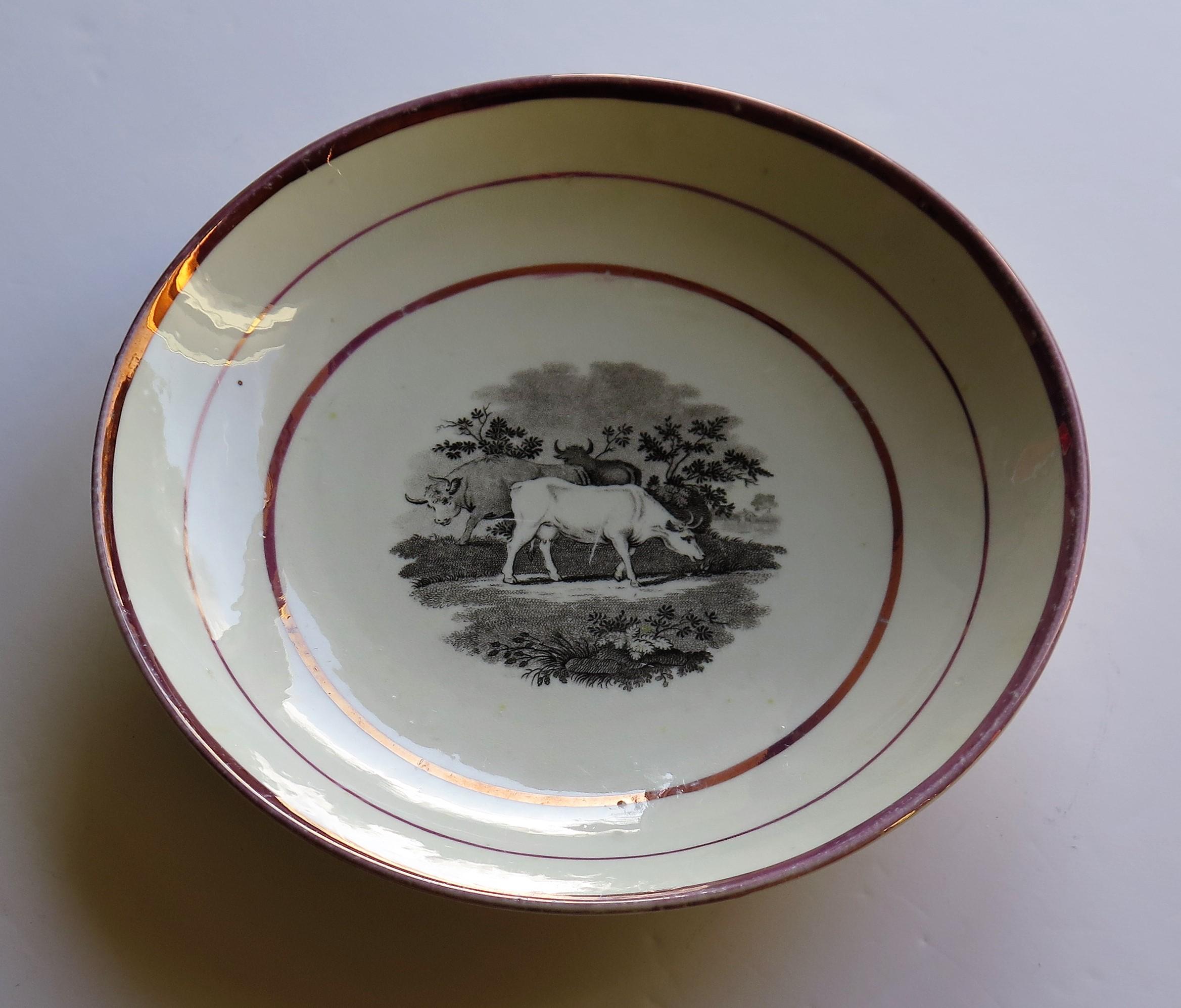 Georgianische Sunderland-Porzellanschale oder Teller mit Lüster, englisch, frühes 19. Jahrhundert im Angebot 4