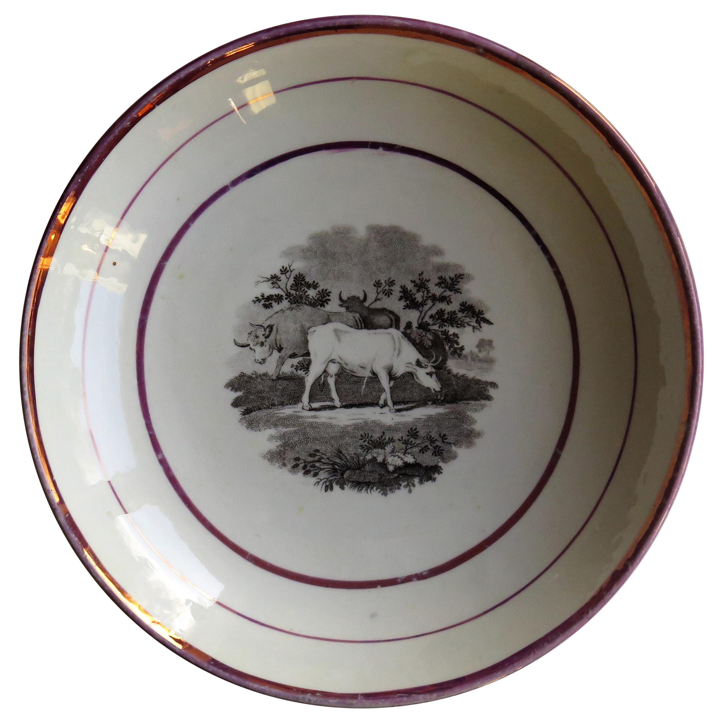Georgianische Sunderland-Porzellanschale oder Teller mit Lüster, englisch, frühes 19. Jahrhundert