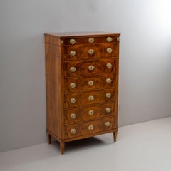 Early 19th Century Tall Chest of Drawers, Vienna