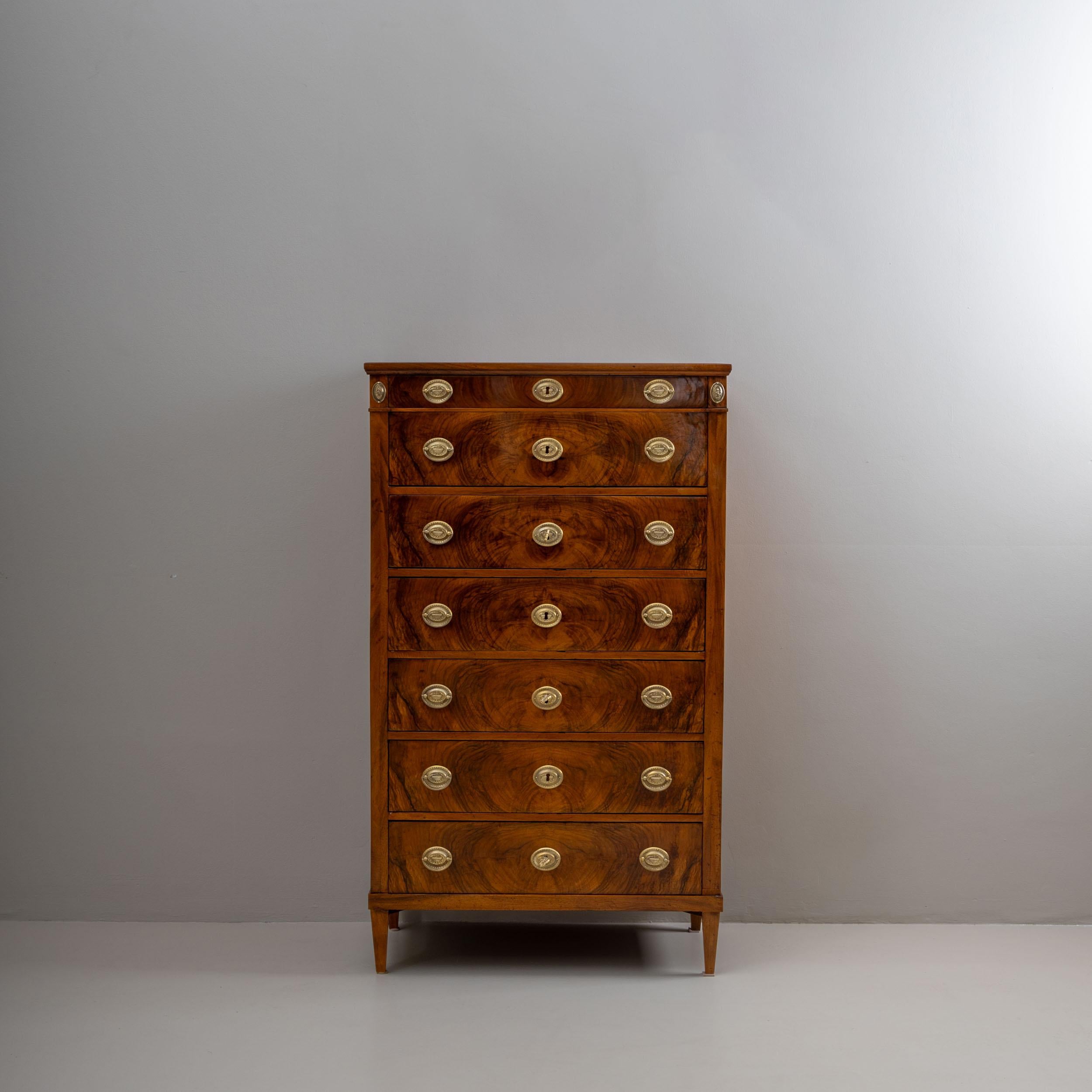 Austrian Early 19th Century Tall Chest of Drawers, Vienna For Sale