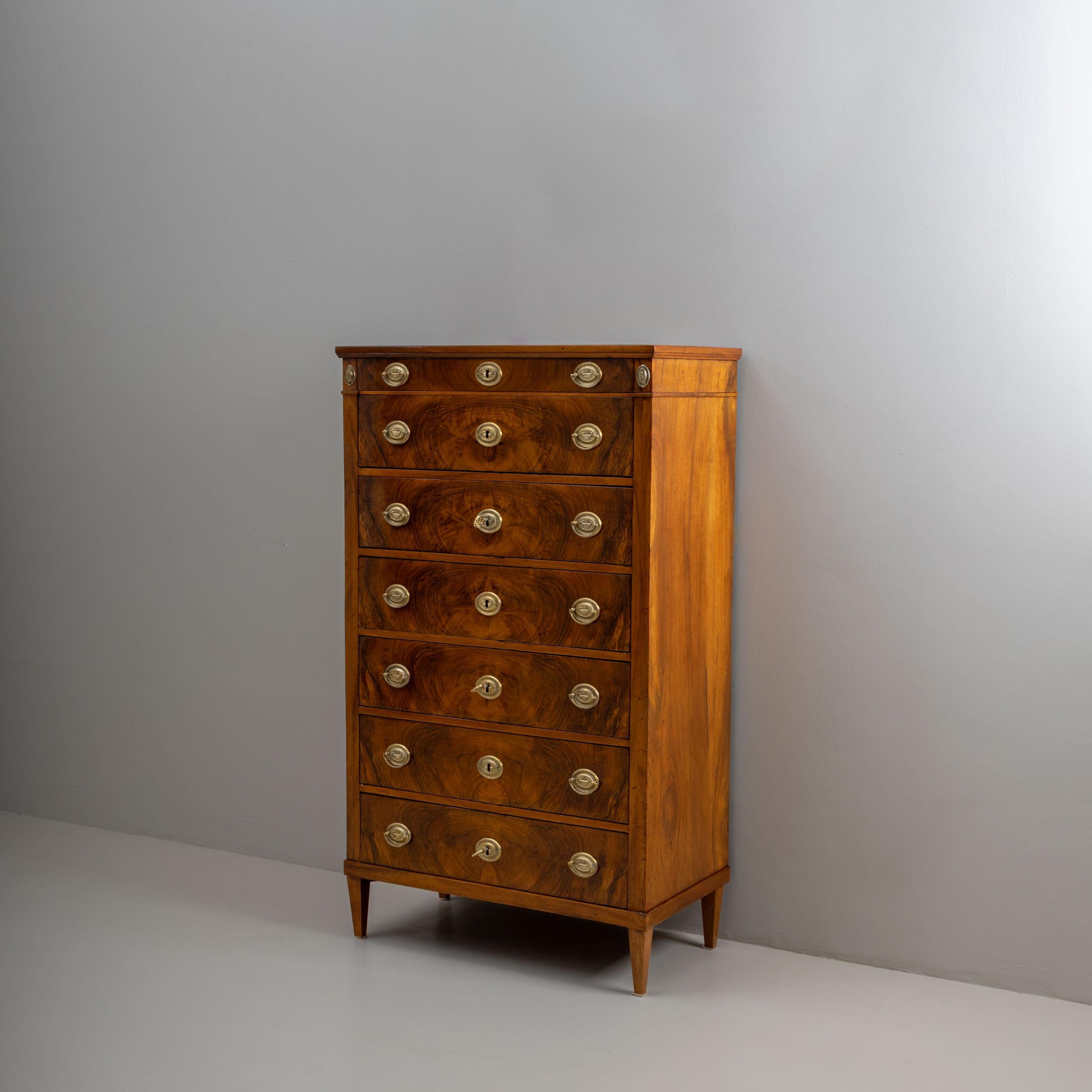 Early 19th Century Tall Chest of Drawers, Vienna In Good Condition For Sale In New York, NY