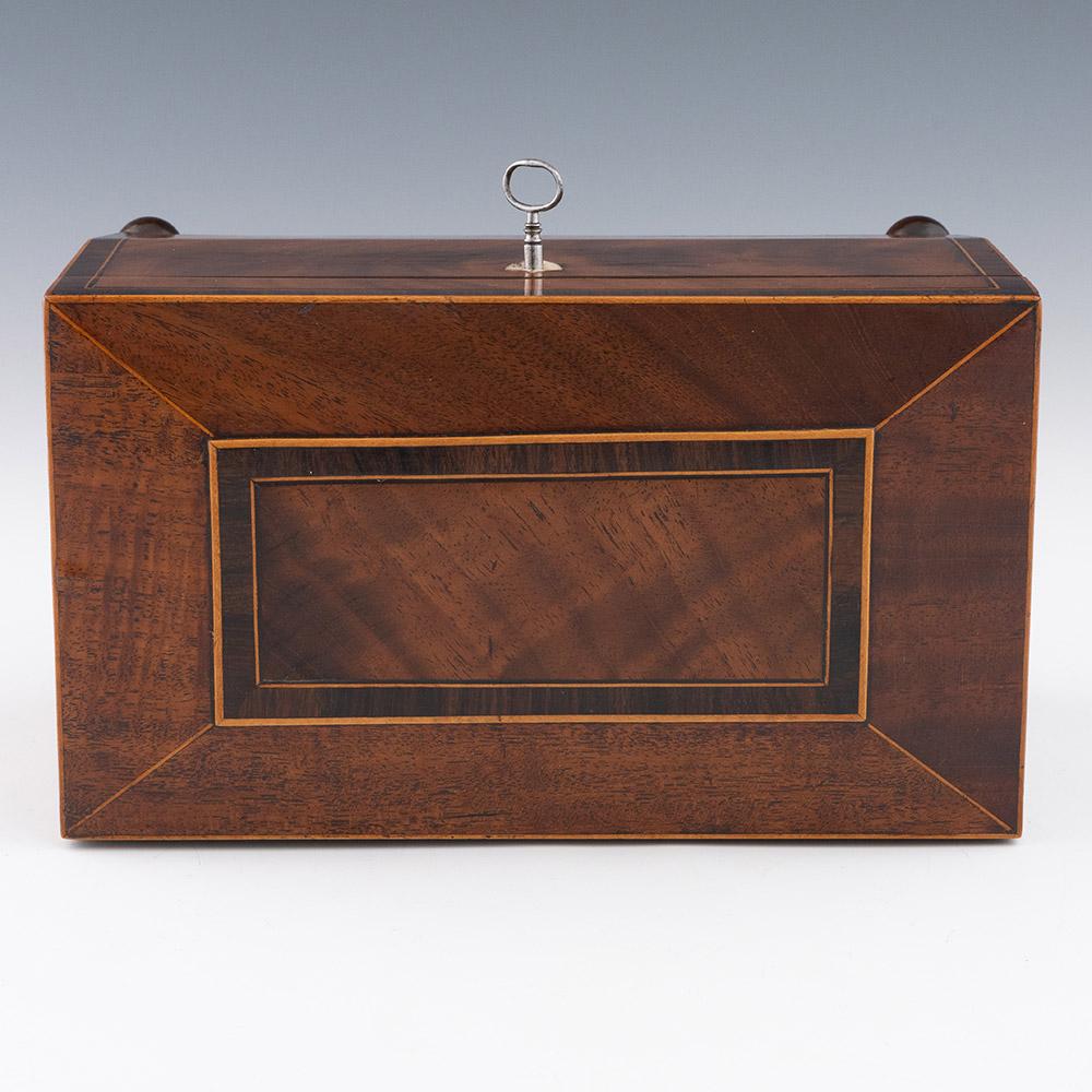 Early 19th Century Tea Caddy of Sarcophagus Form c1830 For Sale 1