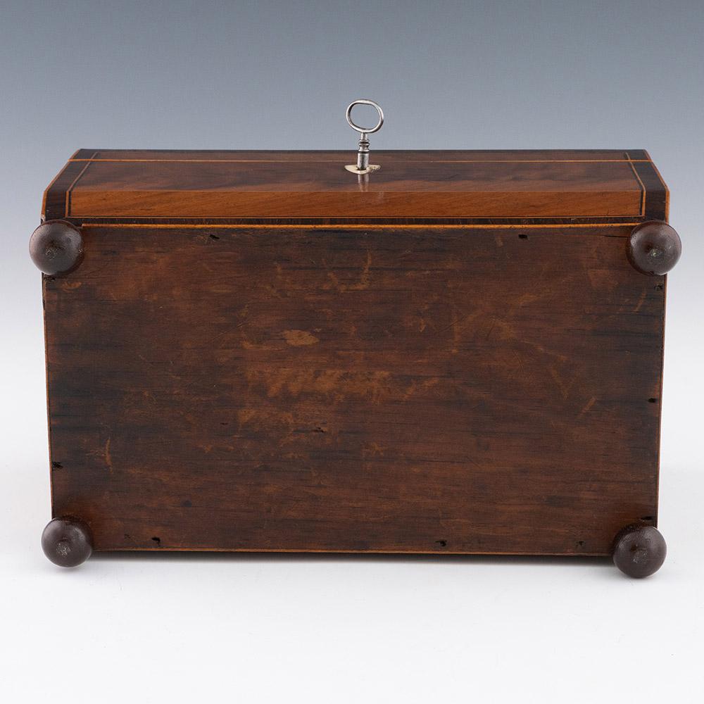 Early 19th Century Tea Caddy of Sarcophagus Form c1830 For Sale 2