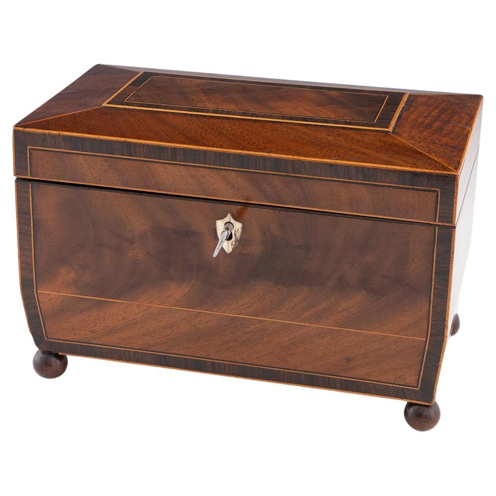 Early 19th Century Tea Caddy of Sarcophagus Form c1830