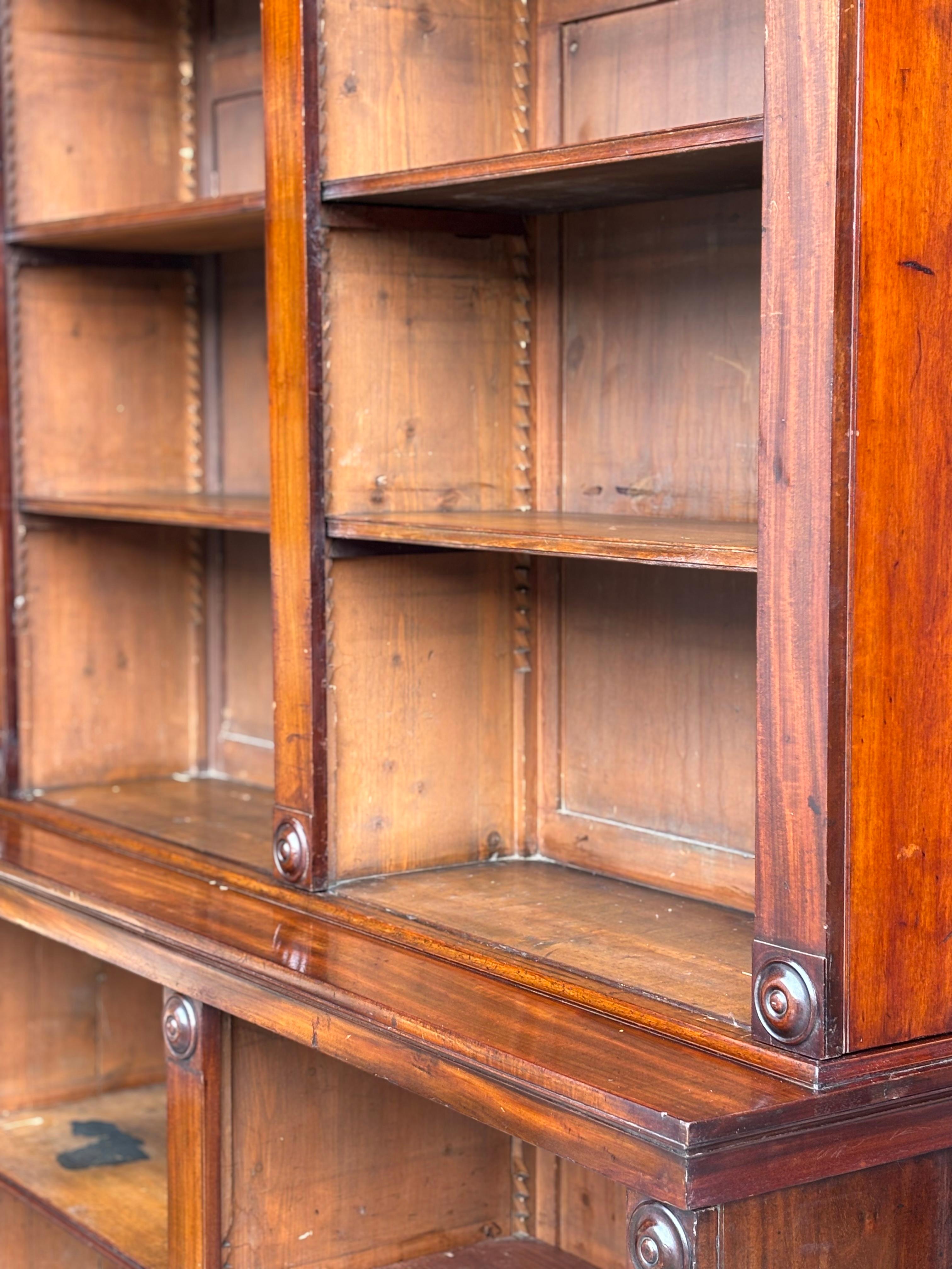 Frühes 19. Jahrhundert William IV Periode Mahagoni Offene Bibliothek Bücherregal im Angebot 1