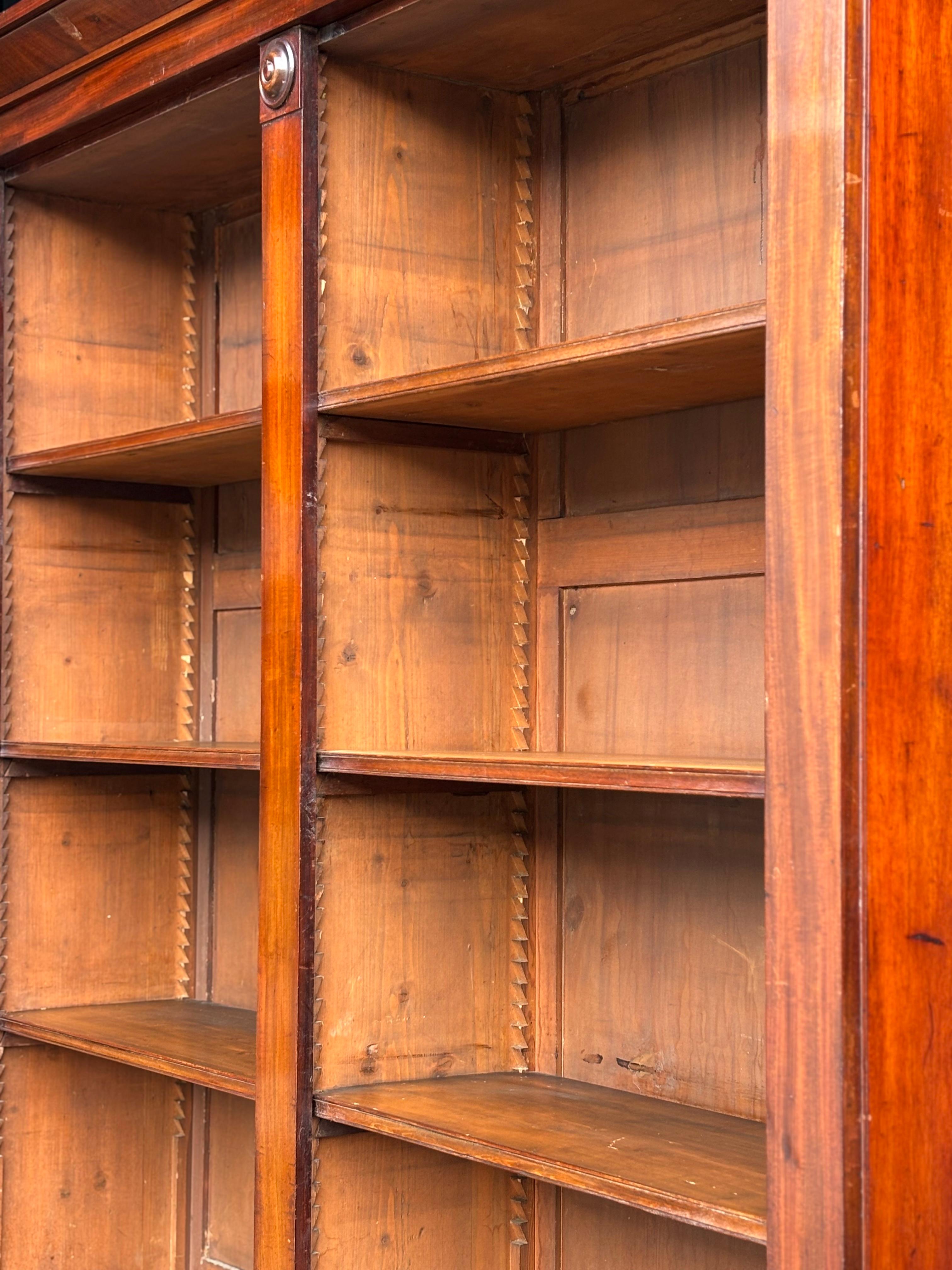 Frühes 19. Jahrhundert William IV Periode Mahagoni Offene Bibliothek Bücherregal im Angebot 2