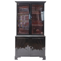 Early 19th Century Black Polished Display Cabinet
