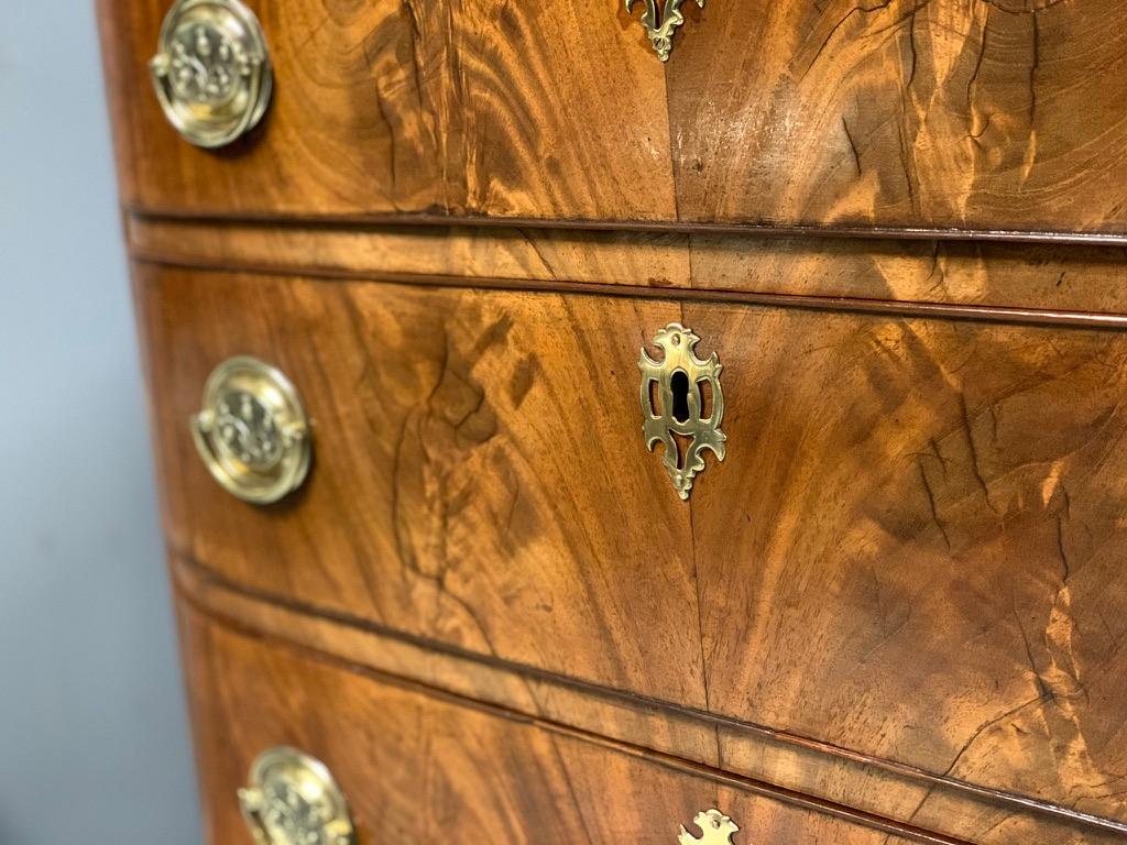 Early 19th Regency Cuban Mahogany Bow Front Chest of Drawers 5