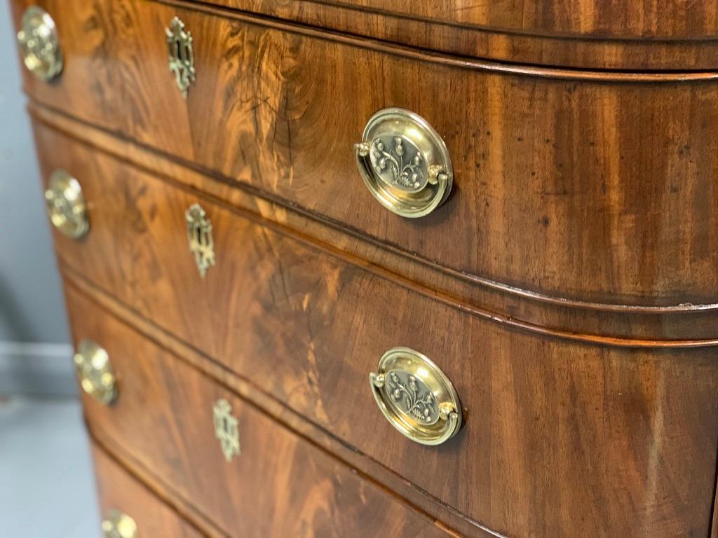 Early 19th Regency Cuban Mahogany Bow Front Chest of Drawers 2