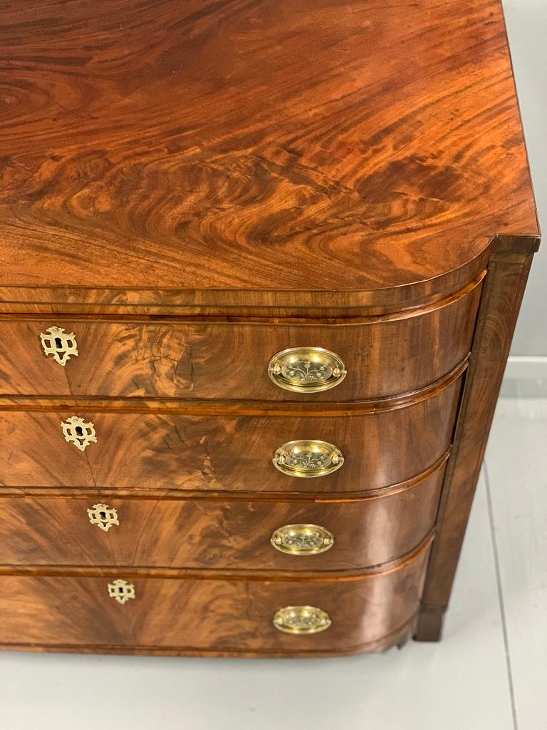Early 19th Regency Cuban Mahogany Bow Front Chest of Drawers 3