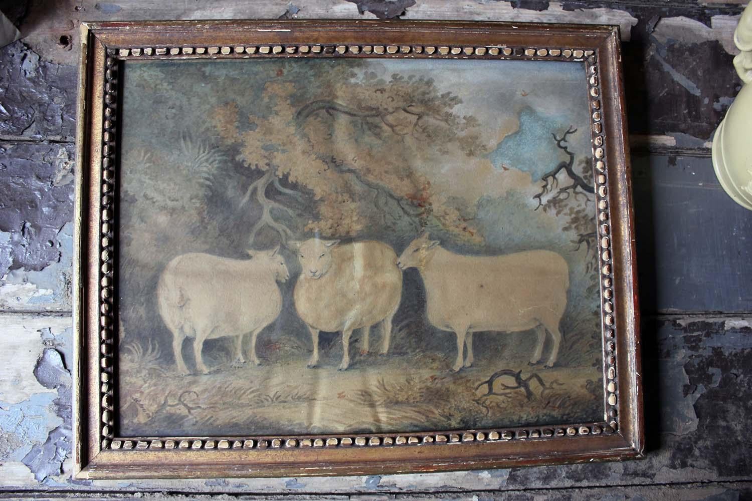 Early 19th Century Naïve School Watercolour of Three Prize Sheep, circa 1812 9