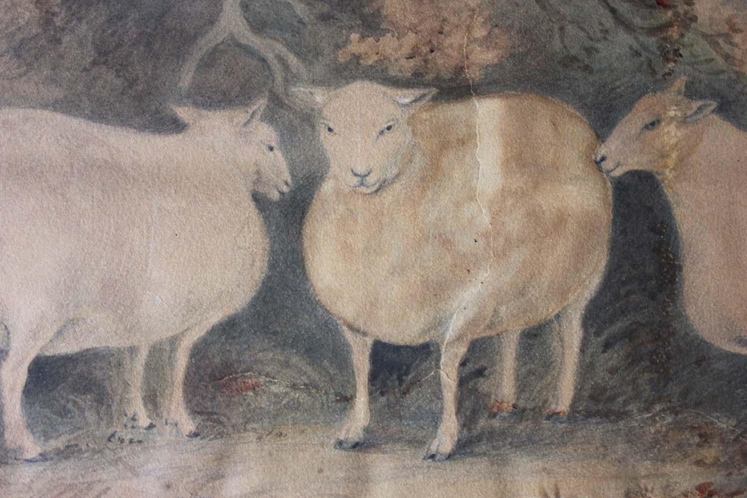 The charming depiction of three prize sheep amongst woodland and a part cloudy blue sky, using a myriad of mainly green and blue hues, being signed and dated lower left J.C. Aires? 1812, the whole presented glazed in its original gadrooned giltwood