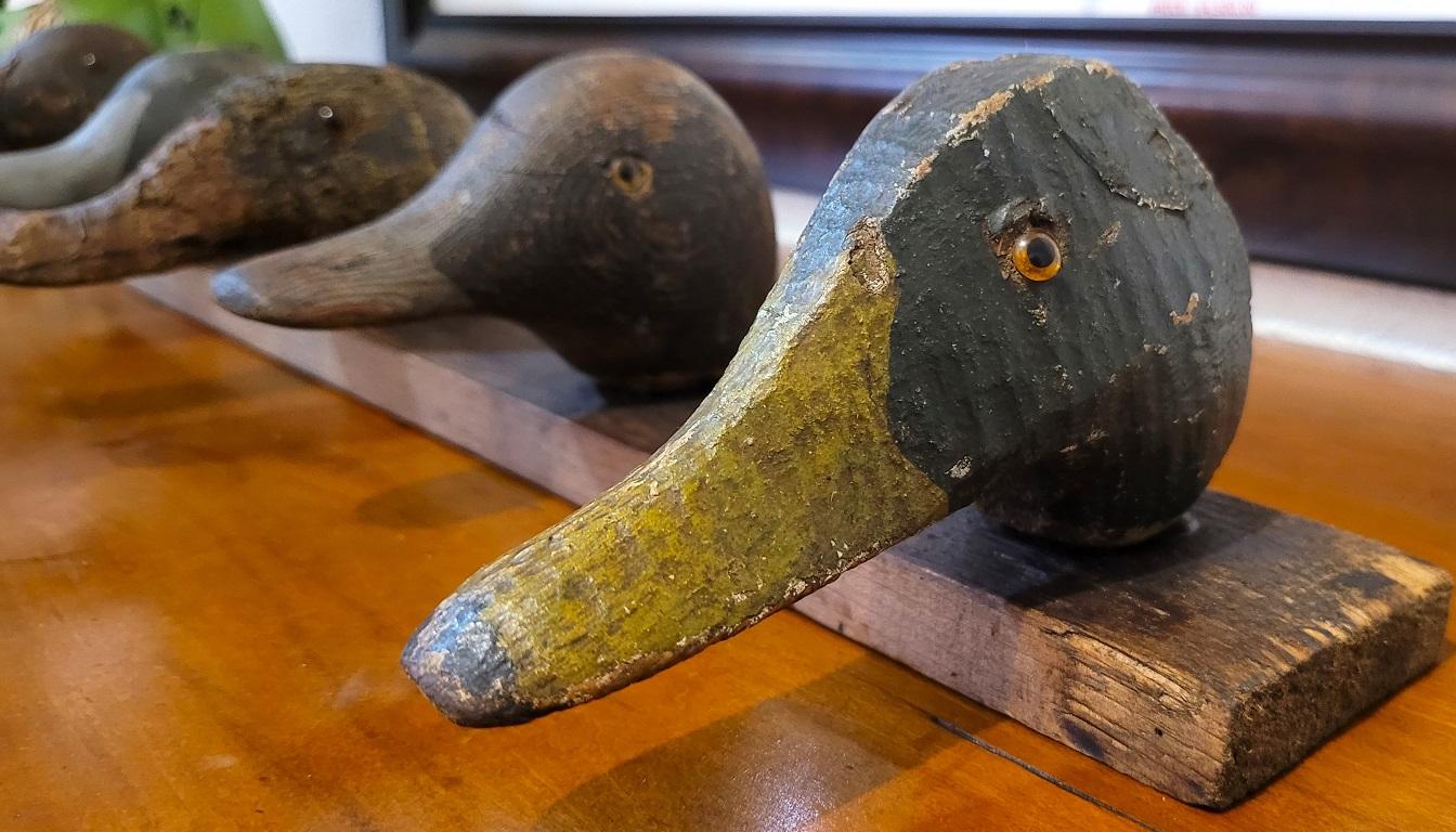 Early 20C Mounted Duck Decoy Heads 2 In Good Condition For Sale In Dallas, TX