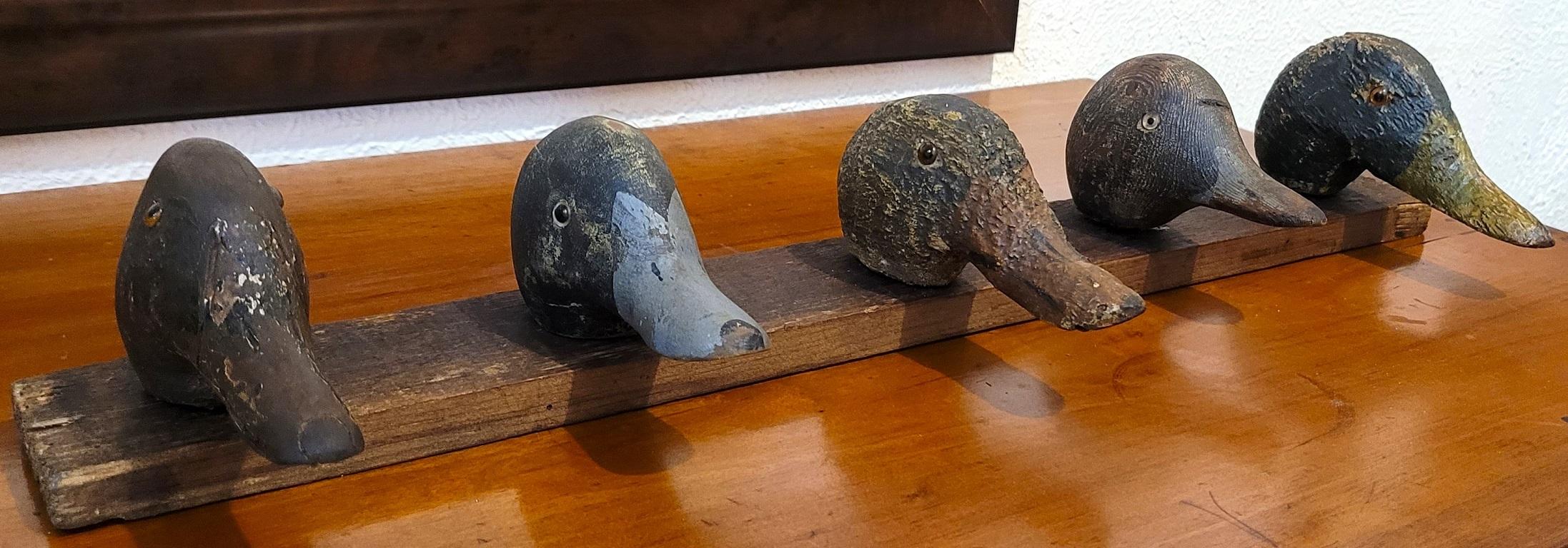 Glass Early 20C Mounted Duck Decoy Heads 2 For Sale