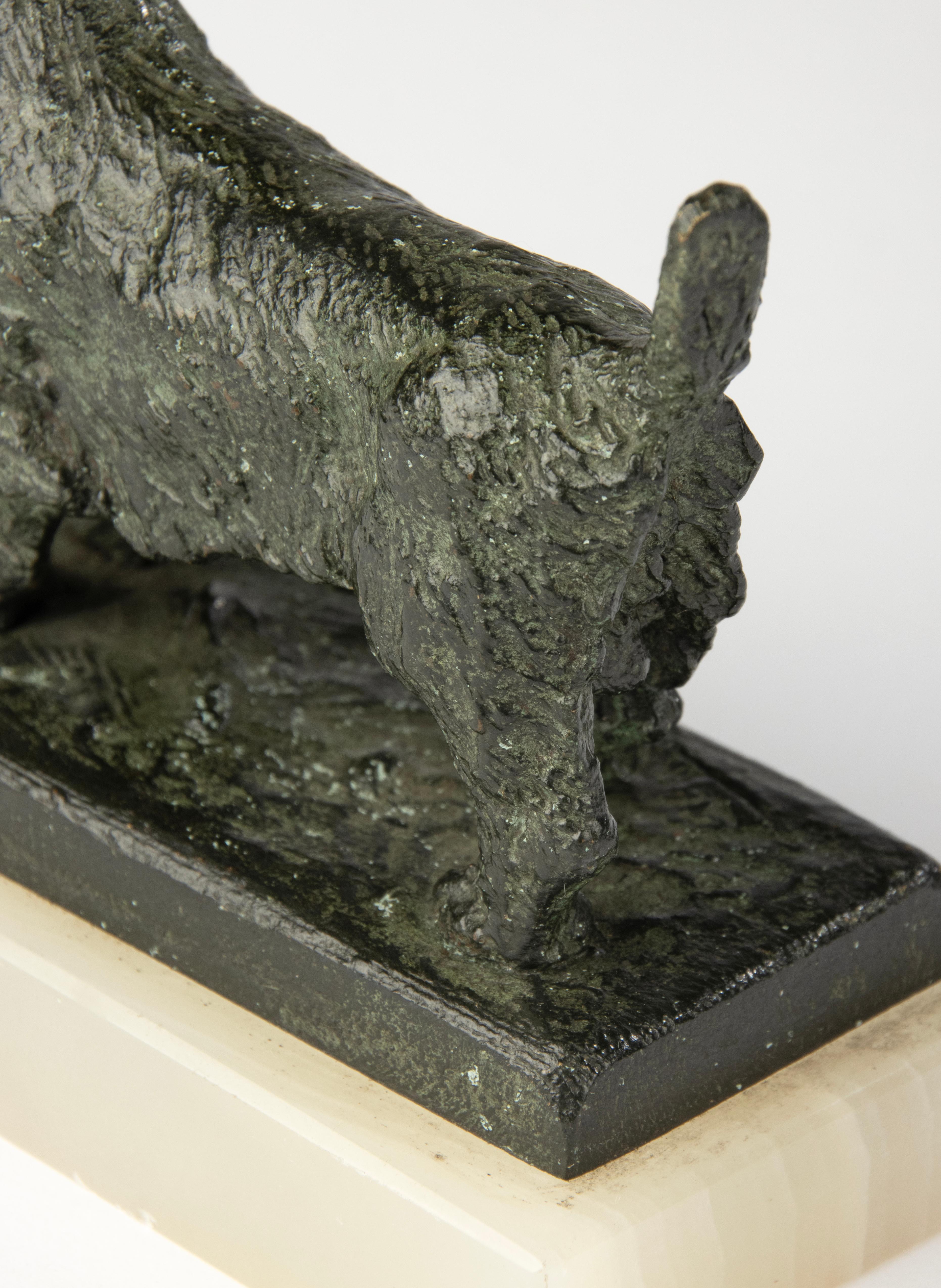 Scultura in bronzo dei primi del Novecento - Cane terrier scozzese - Paul Edouard Dreux in vendita 3
