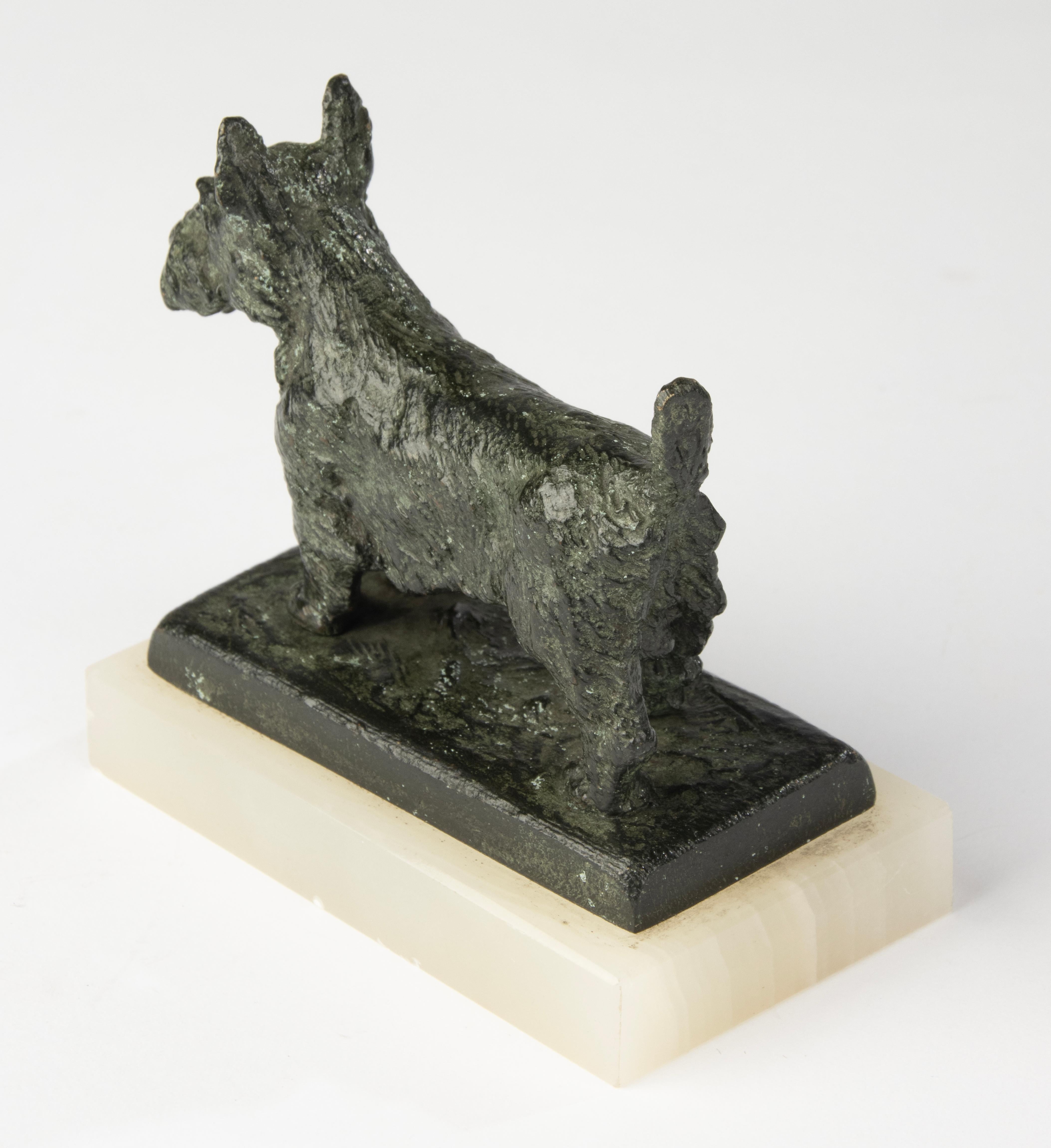 Scultura in bronzo dei primi del Novecento - Cane terrier scozzese - Paul Edouard Dreux in vendita 4